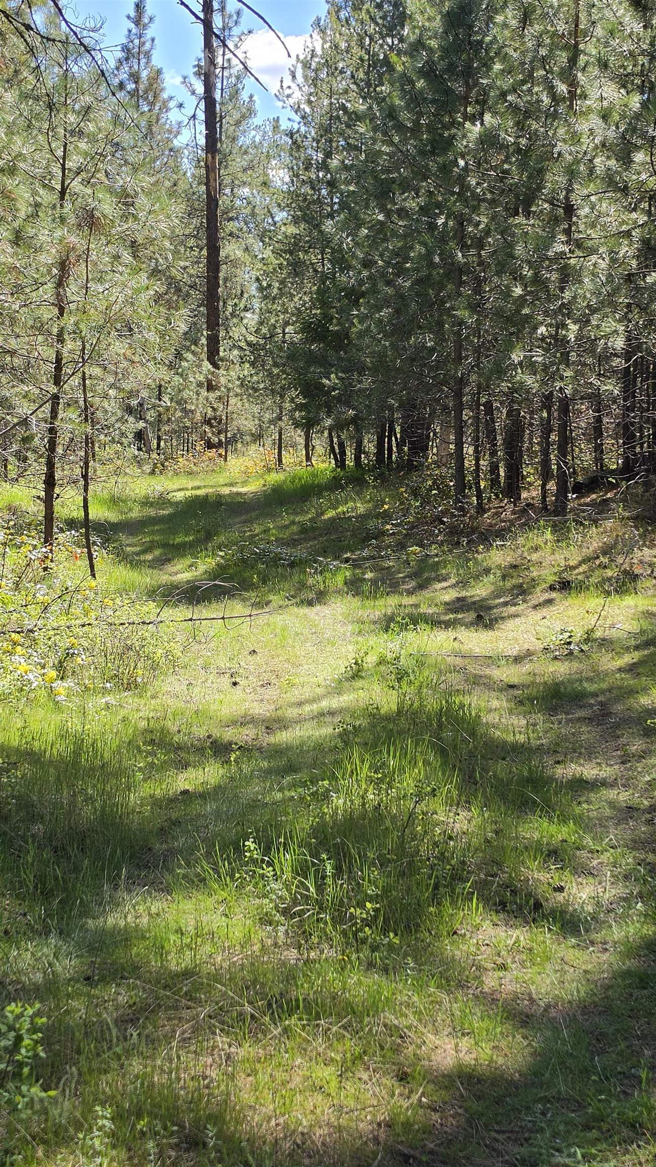 230XX N Crescent Rd - Photo 23