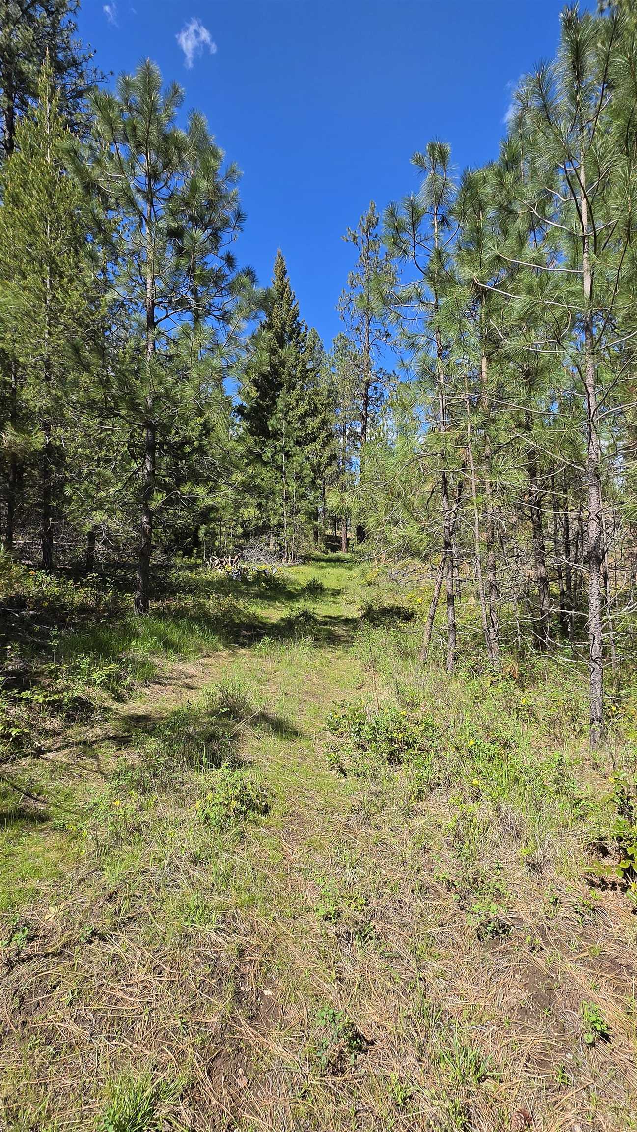 230XX N Crescent Rd - Photo 24