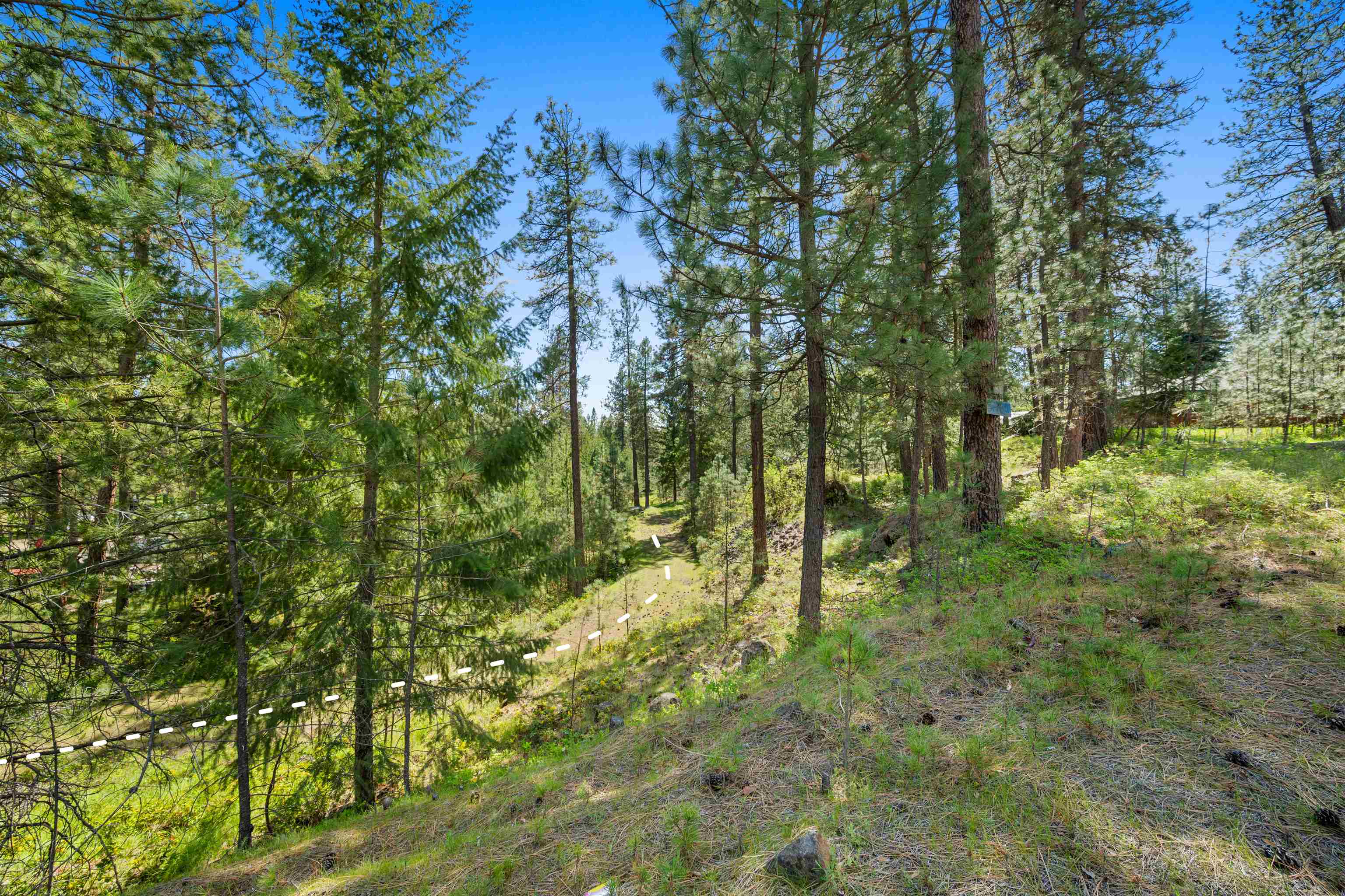 230XX N Crescent Rd - Photo 4