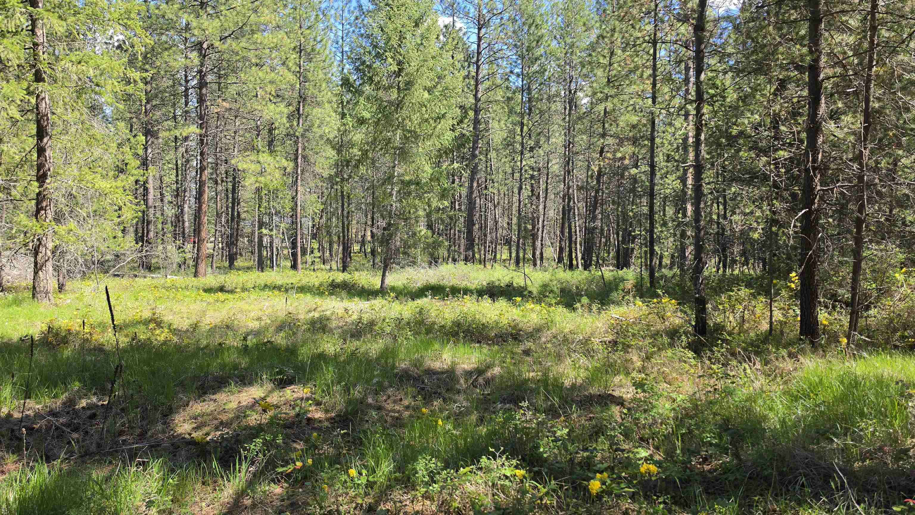 230XX N Crescent Rd - Photo 5