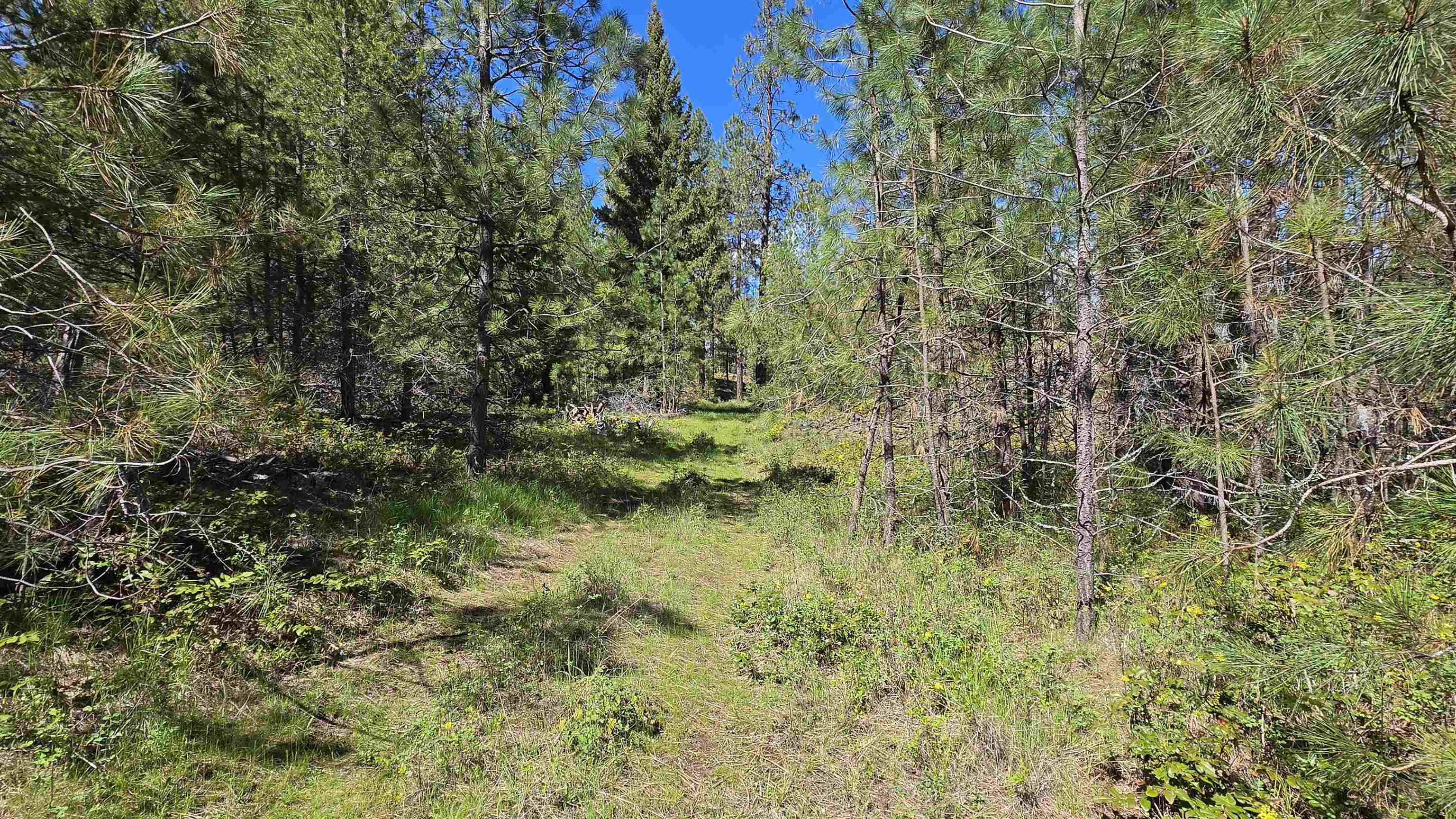 230XX N Crescent Rd - Photo 8