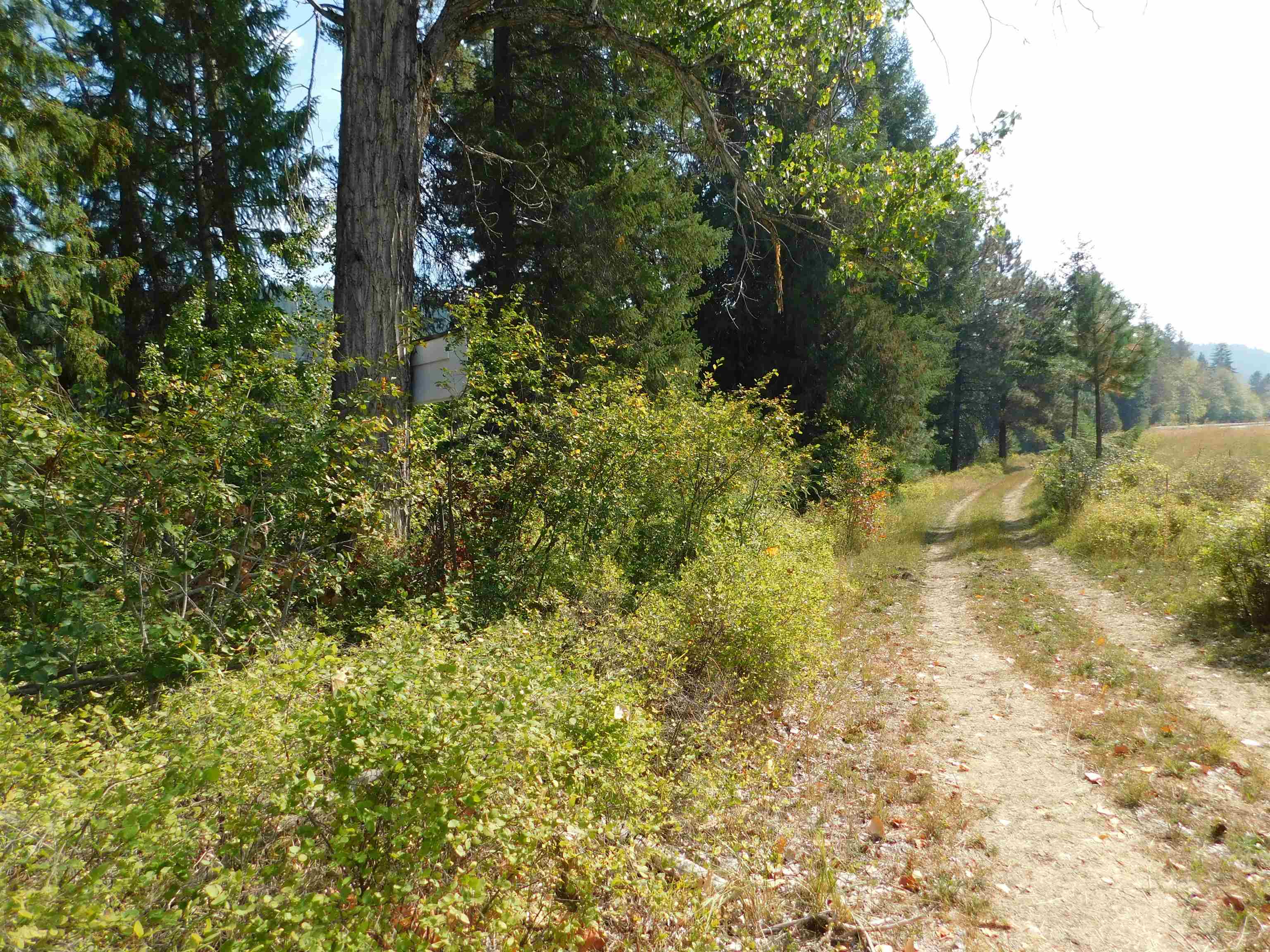 XX 20 Hwy - Photo 12