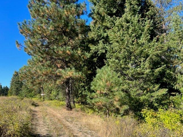 XX 20 Hwy - Photo 14