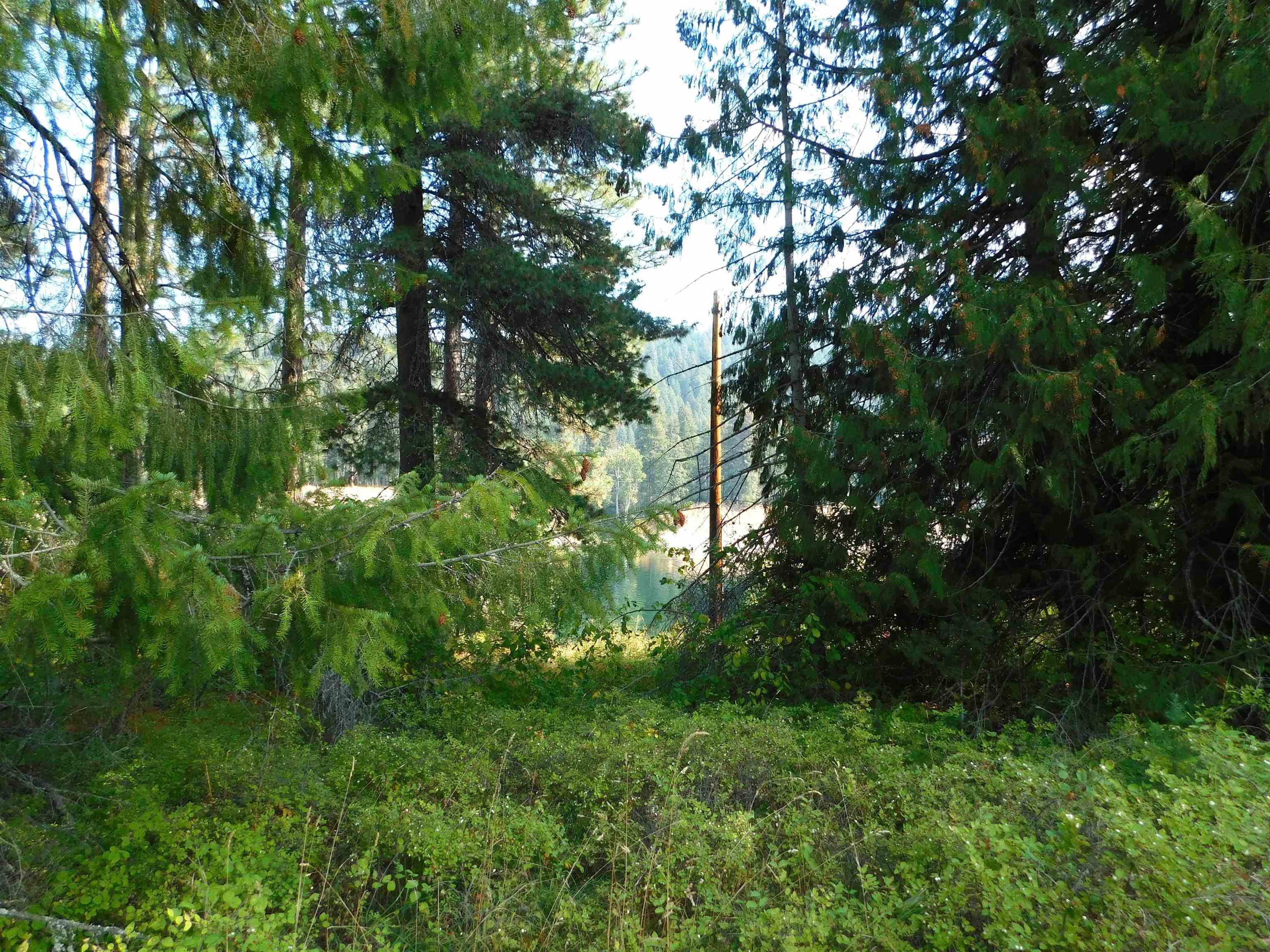 XX 20 Hwy - Photo 6