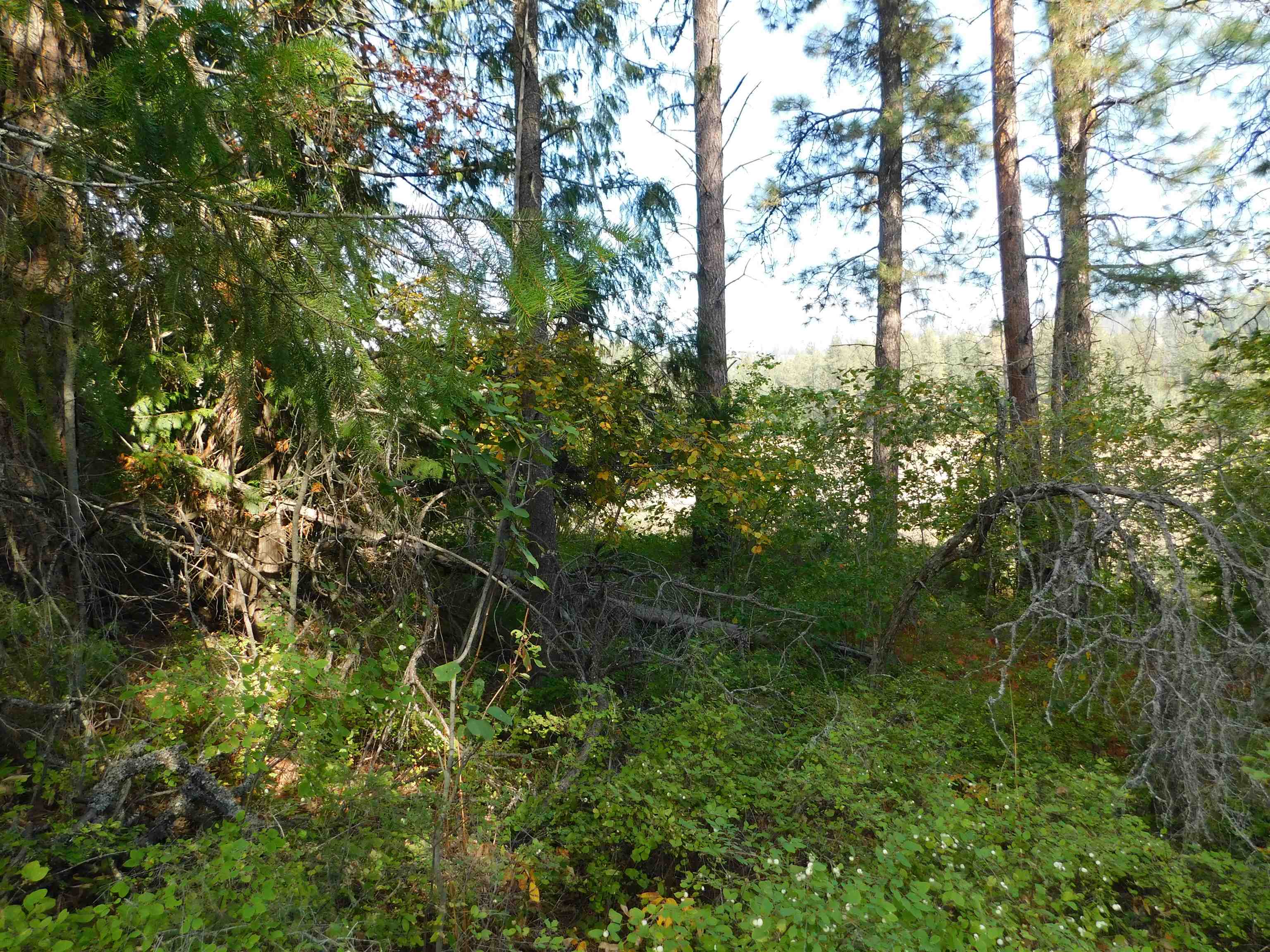 XX 20 Hwy - Photo 7