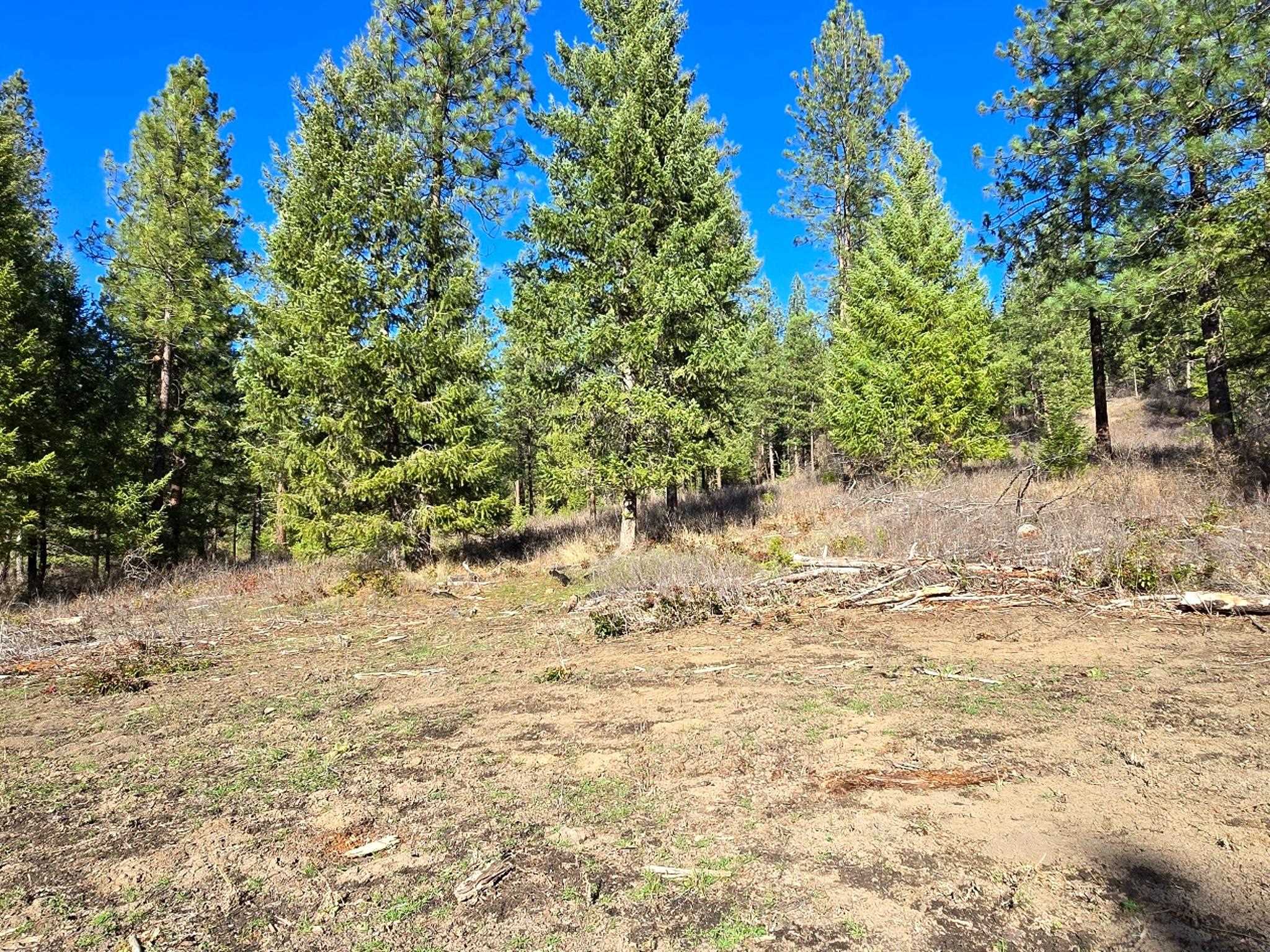 6400 Castle Rock Creek Rd Rd - Photo 12