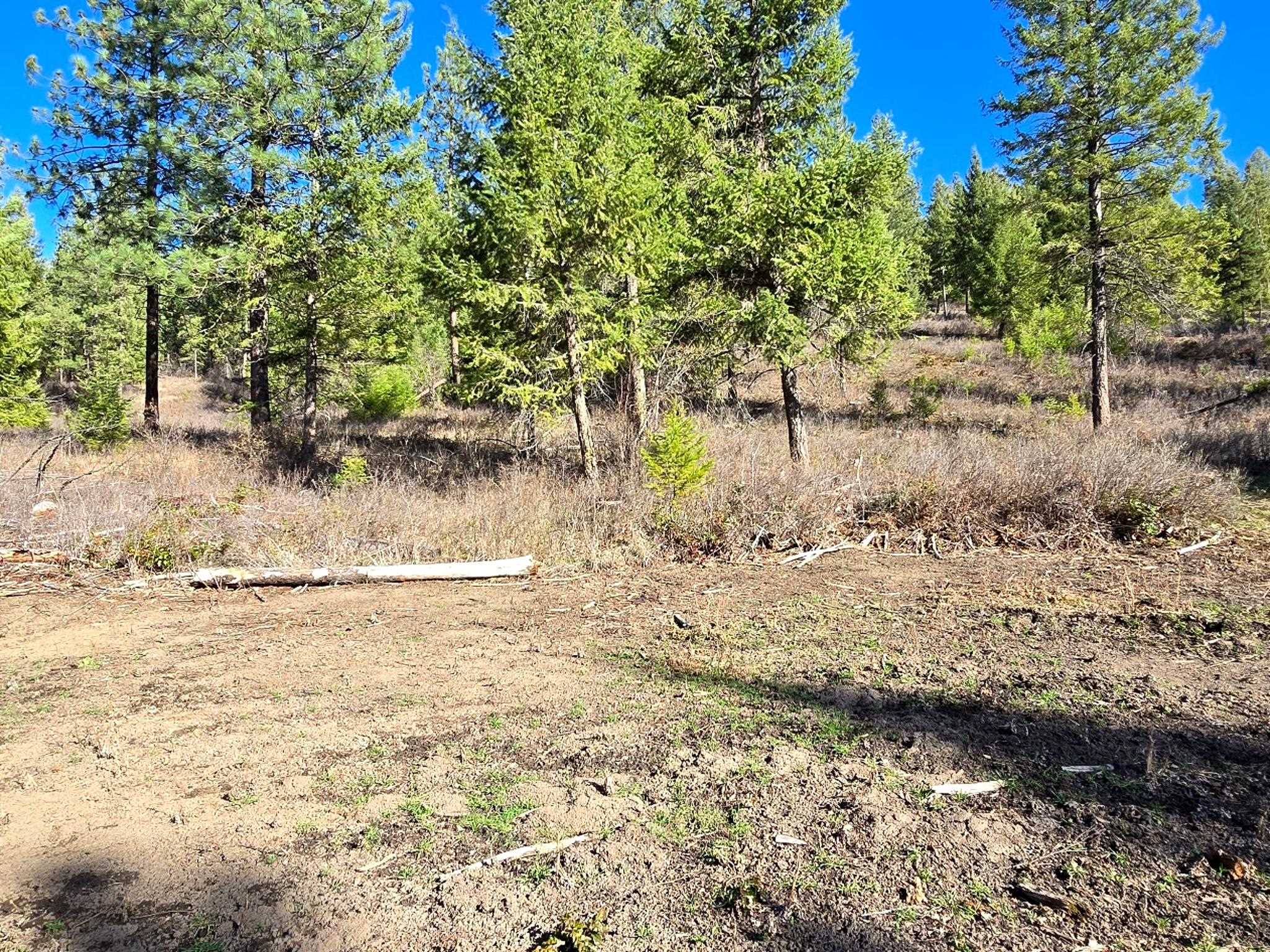 6400 Castle Rock Creek Rd Rd - Photo 13