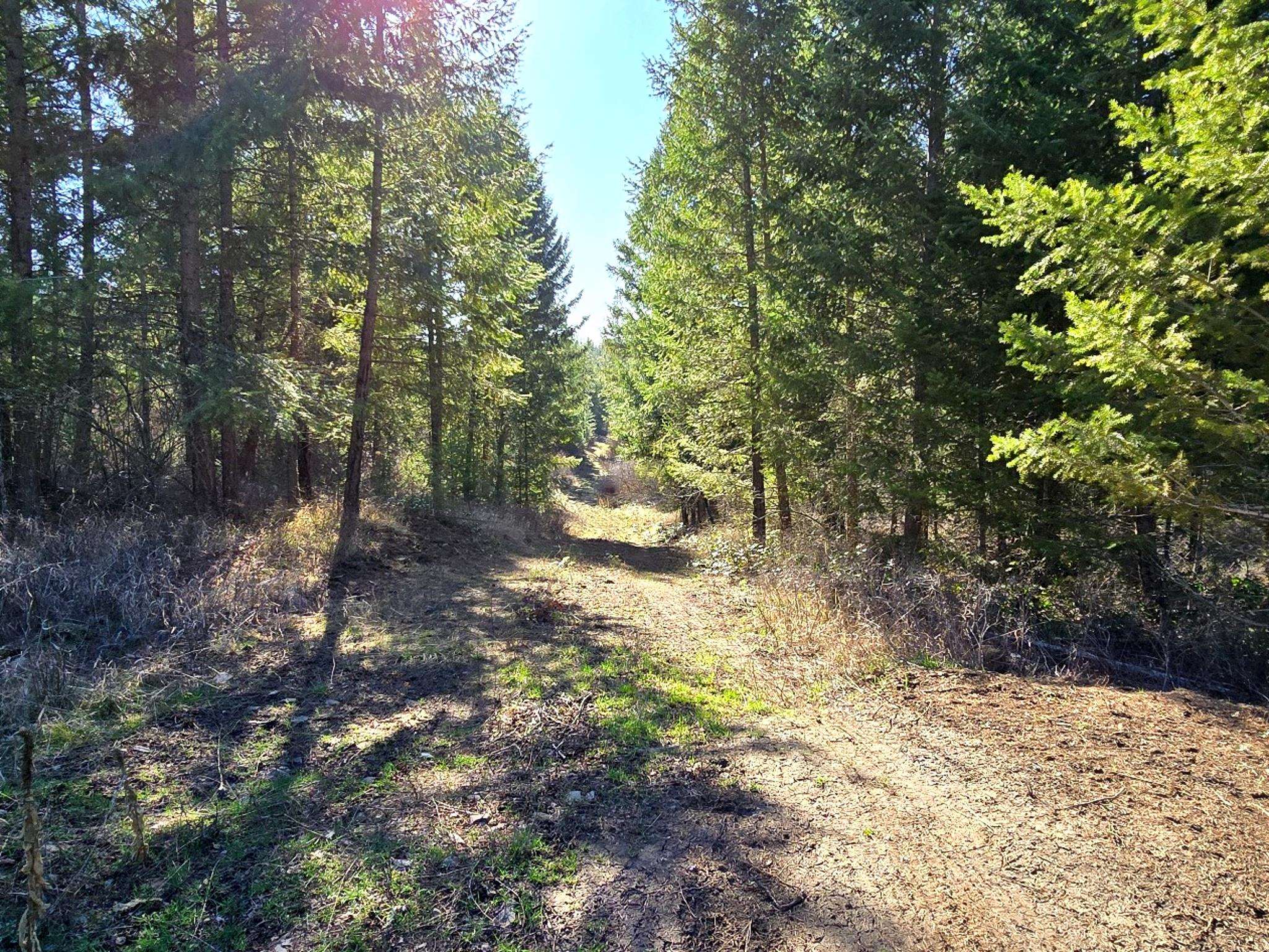 6400 Castle Rock Creek Rd Rd - Photo 14