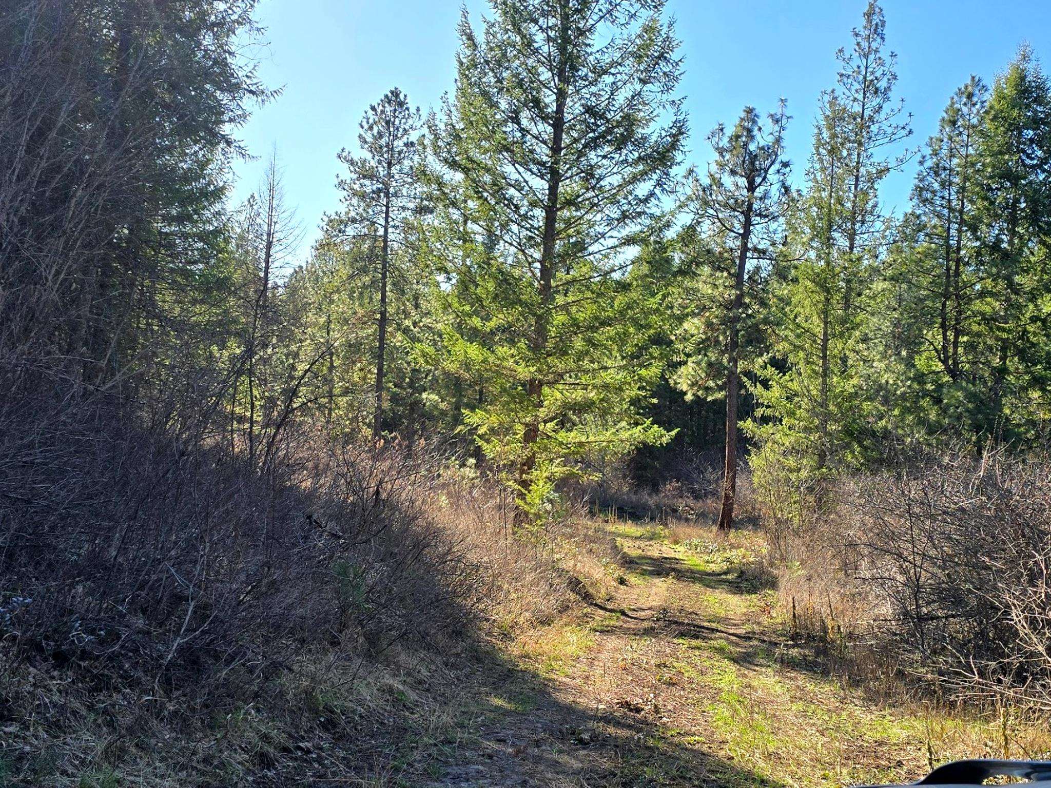 6400 Castle Rock Creek Rd Rd - Photo 16