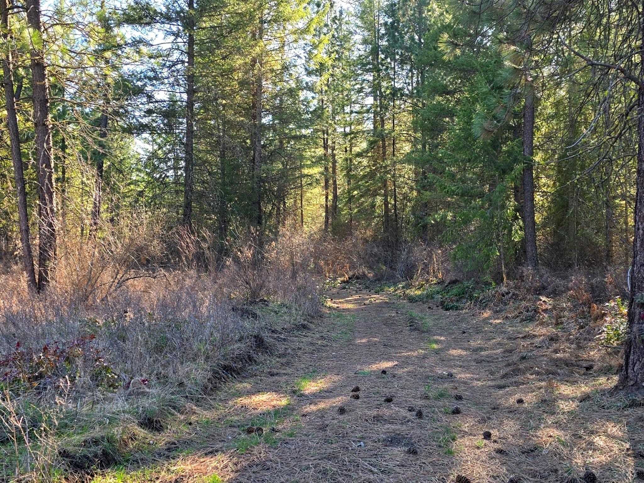 6400 Castle Rock Creek Rd Rd - Photo 18