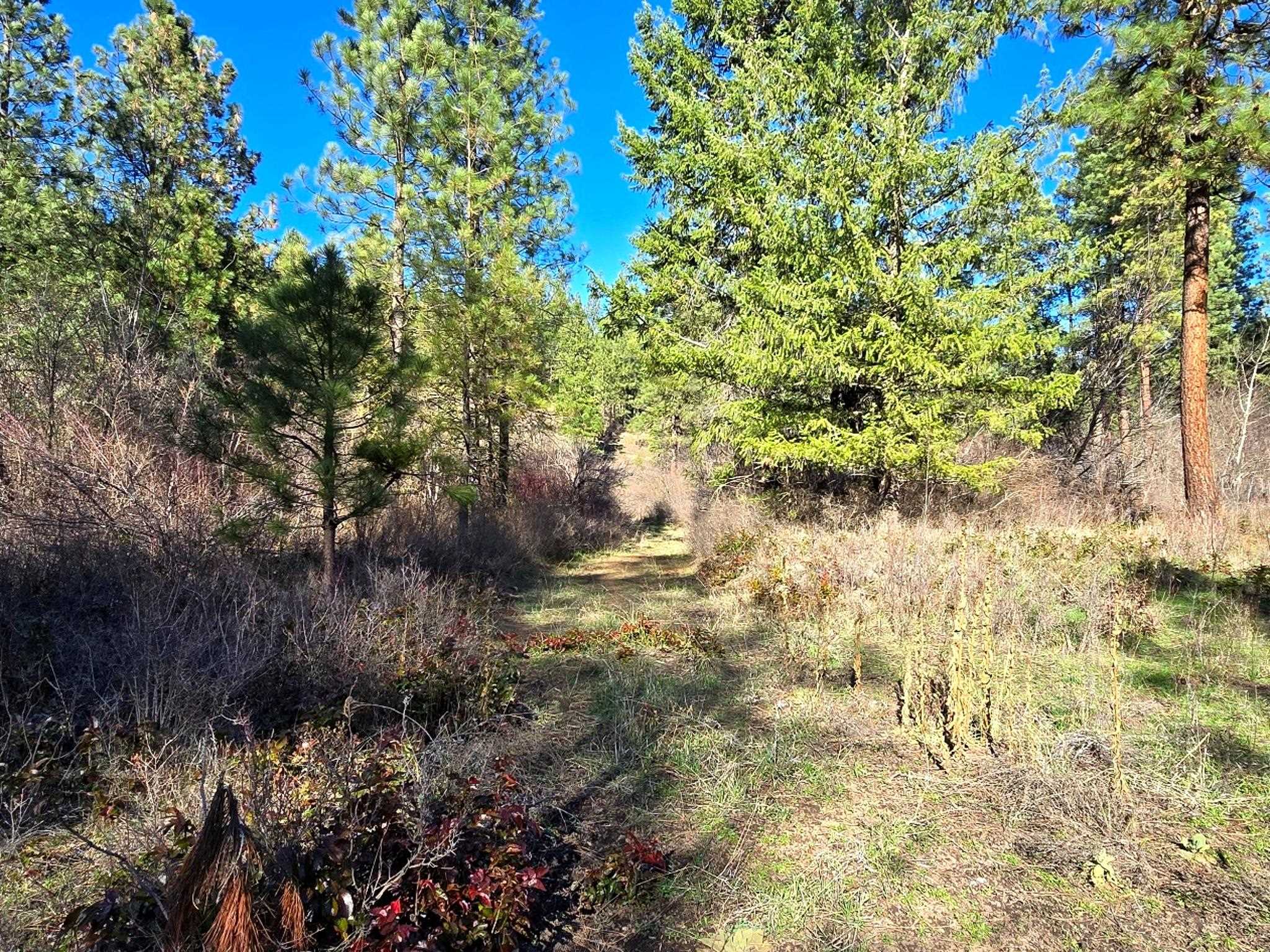 6400 Castle Rock Creek Rd Rd - Photo 6