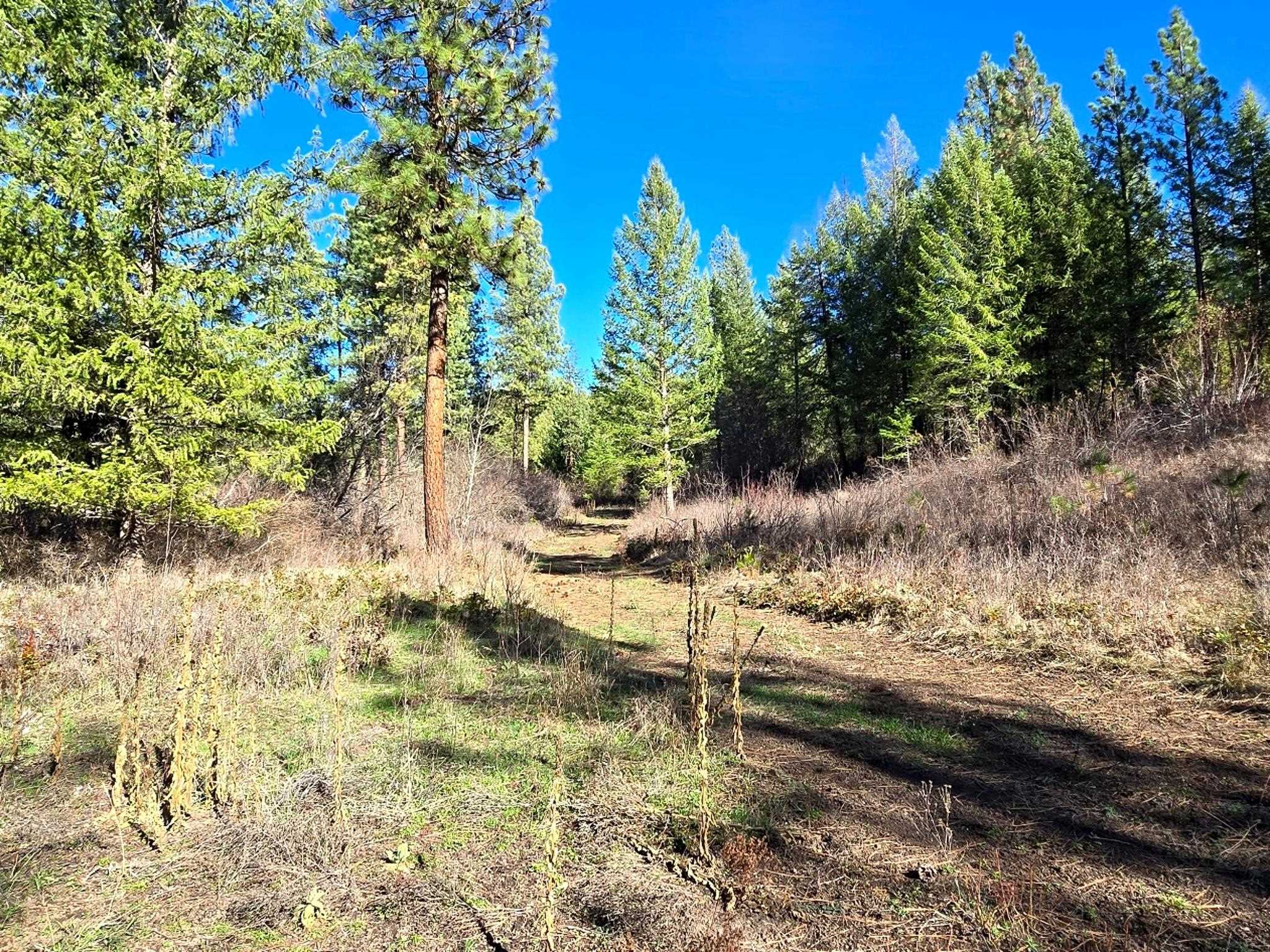 6400 Castle Rock Creek Rd Rd - Photo 7