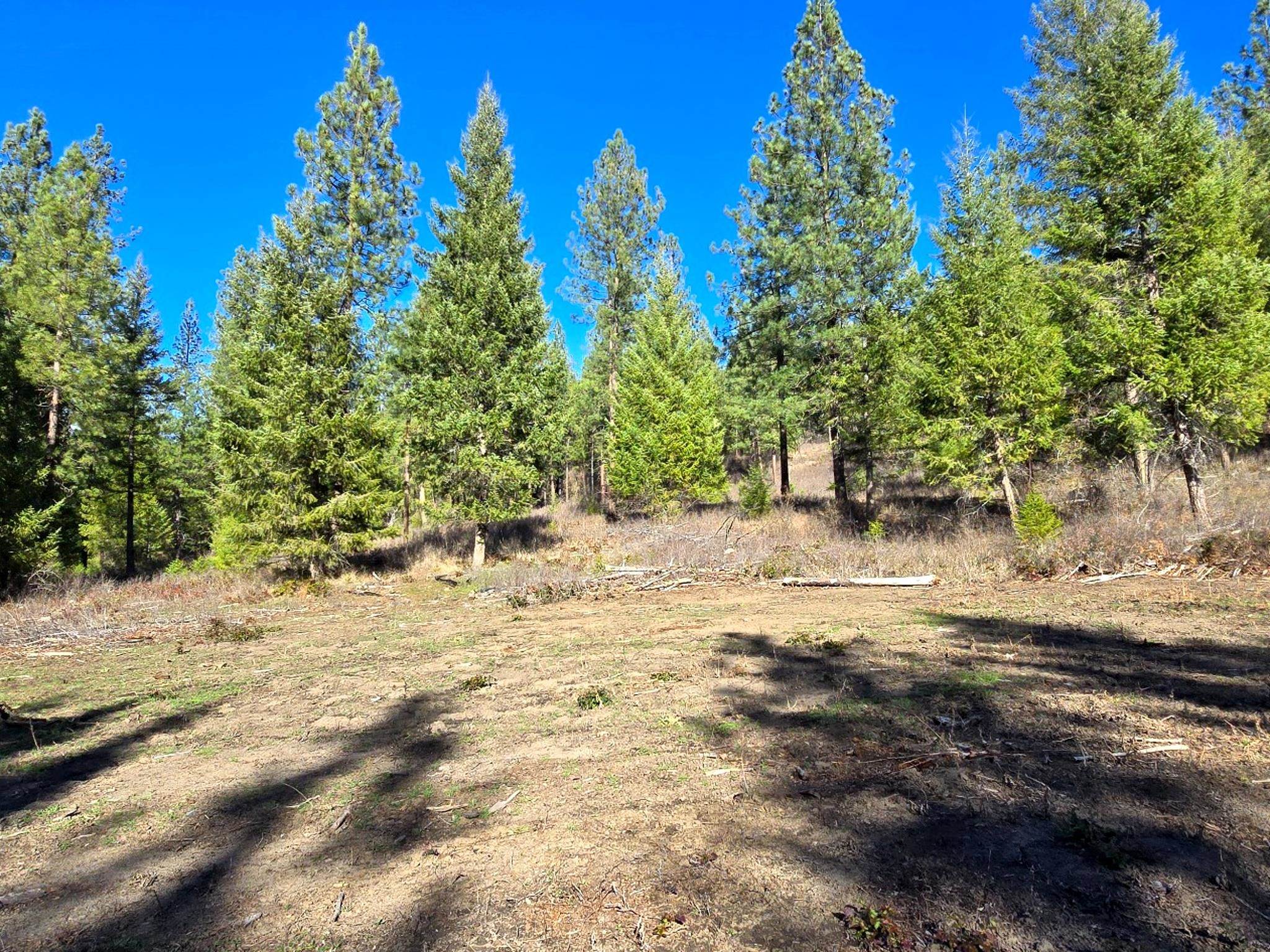6400 Castle Rock Creek Rd Rd - Photo 9