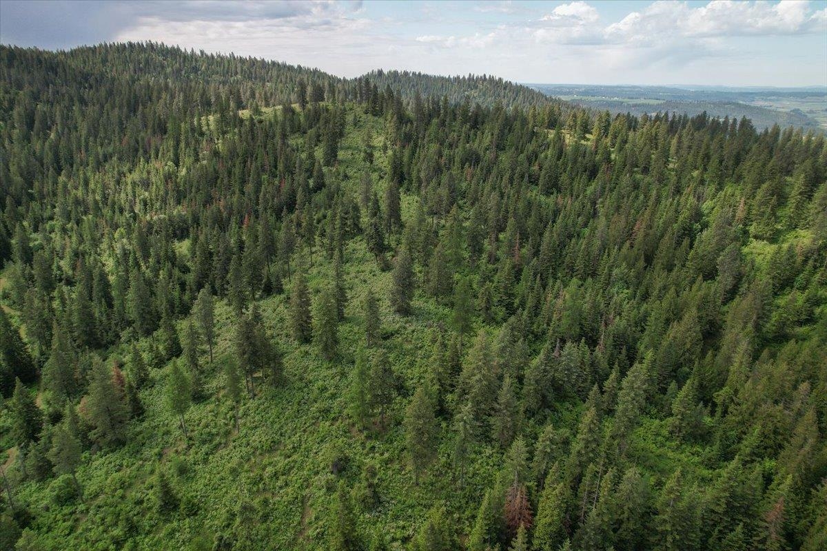NNA E Bill Gulch Rd - Photo 2