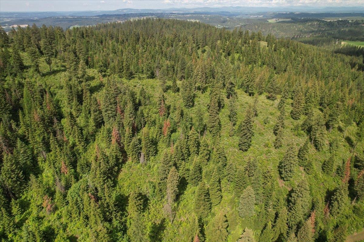 NNA E Bill Gulch Rd - Photo 11