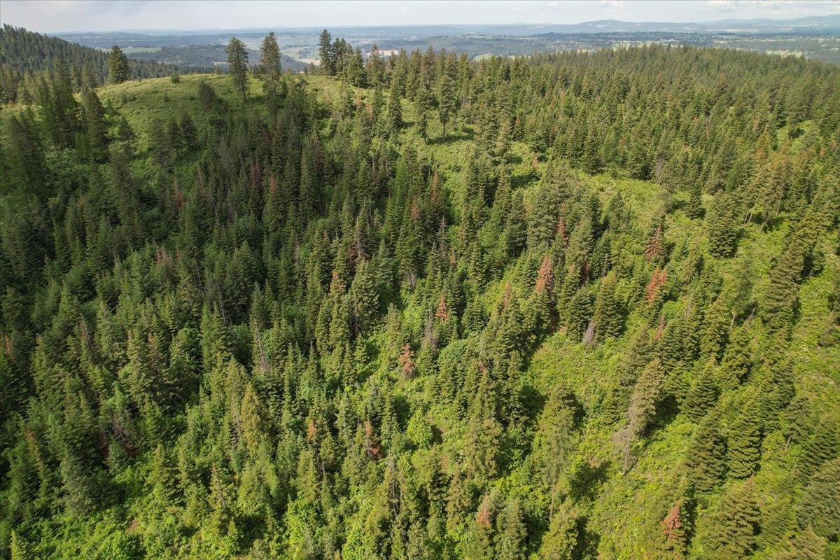 NNA E Bill Gulch Rd - Photo 12