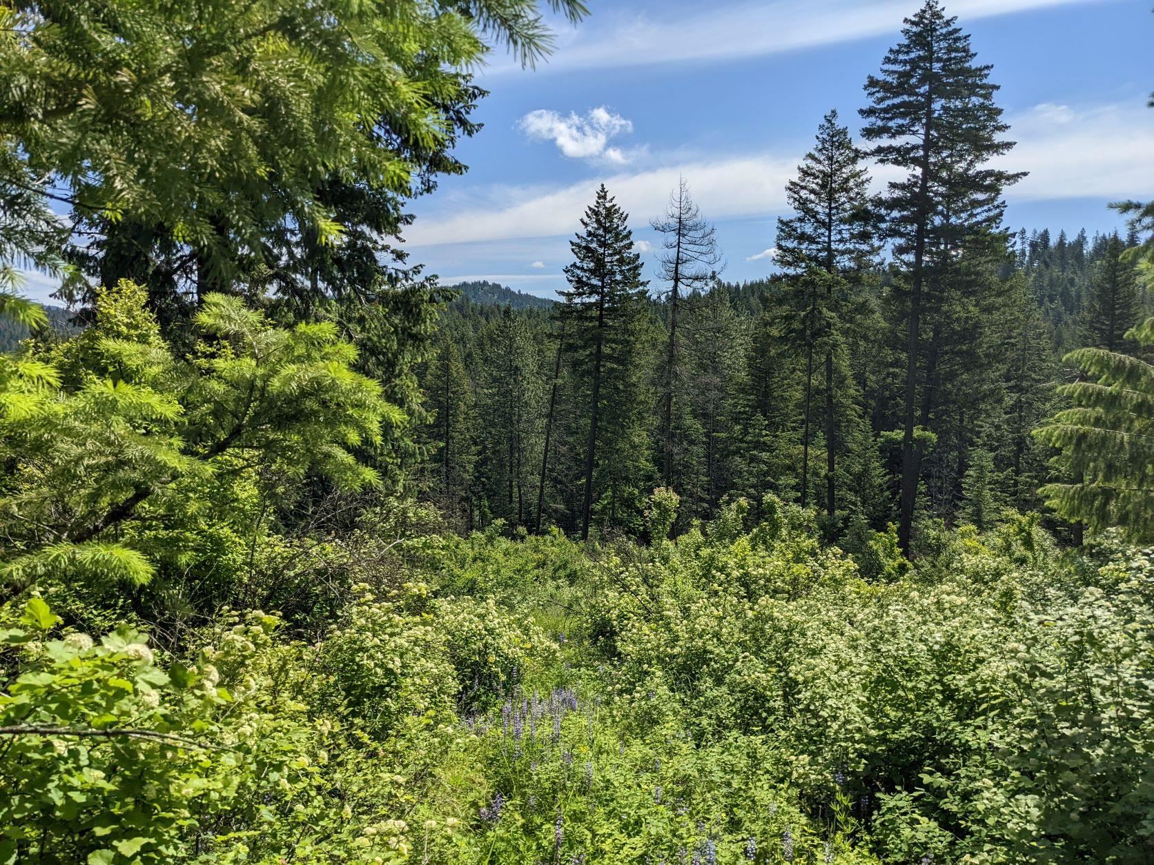 NNA E Bill Gulch Rd - Photo 13