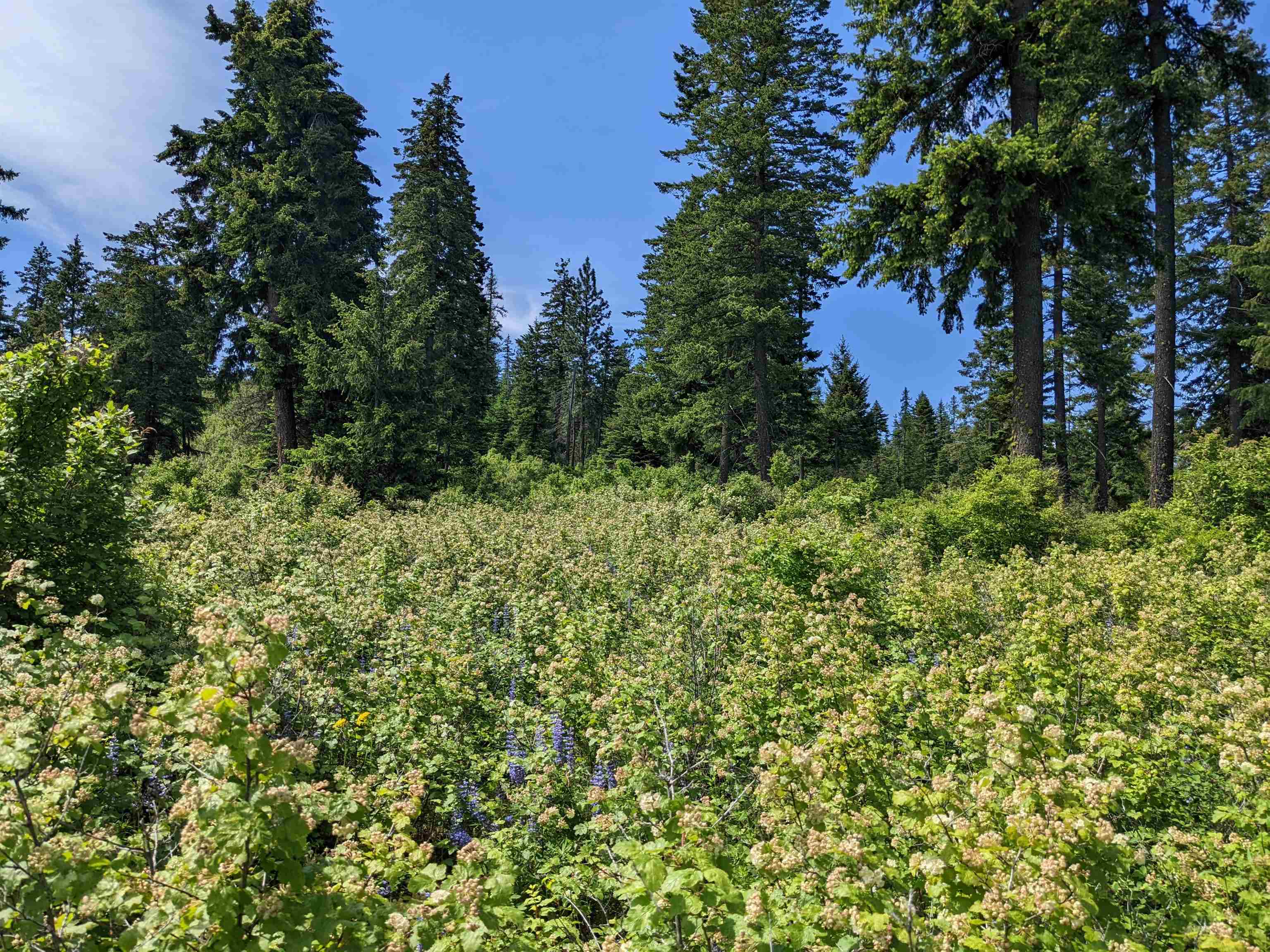 NNA E Bill Gulch Rd - Photo 14