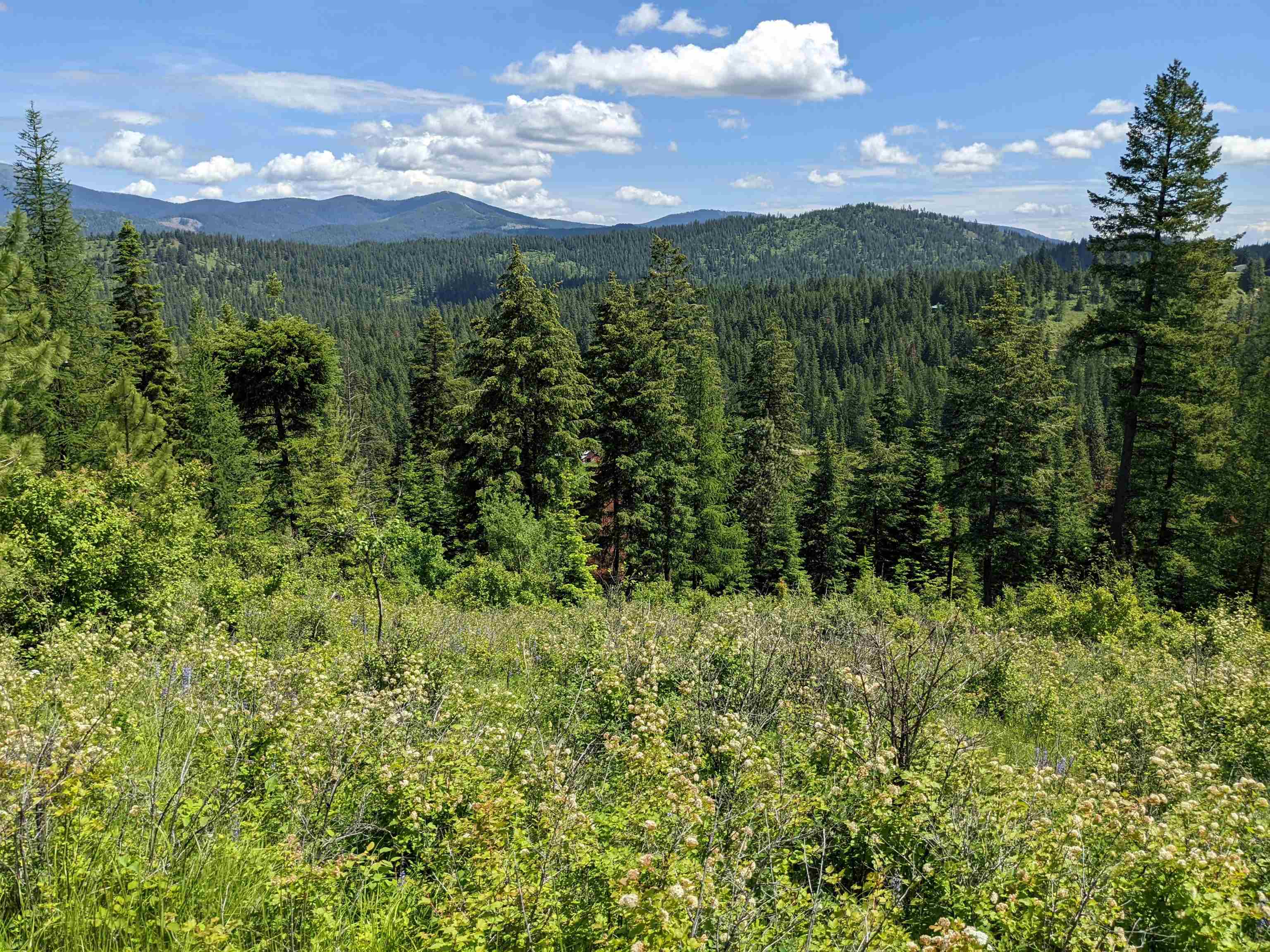 NNA E Bill Gulch Rd - Photo 15