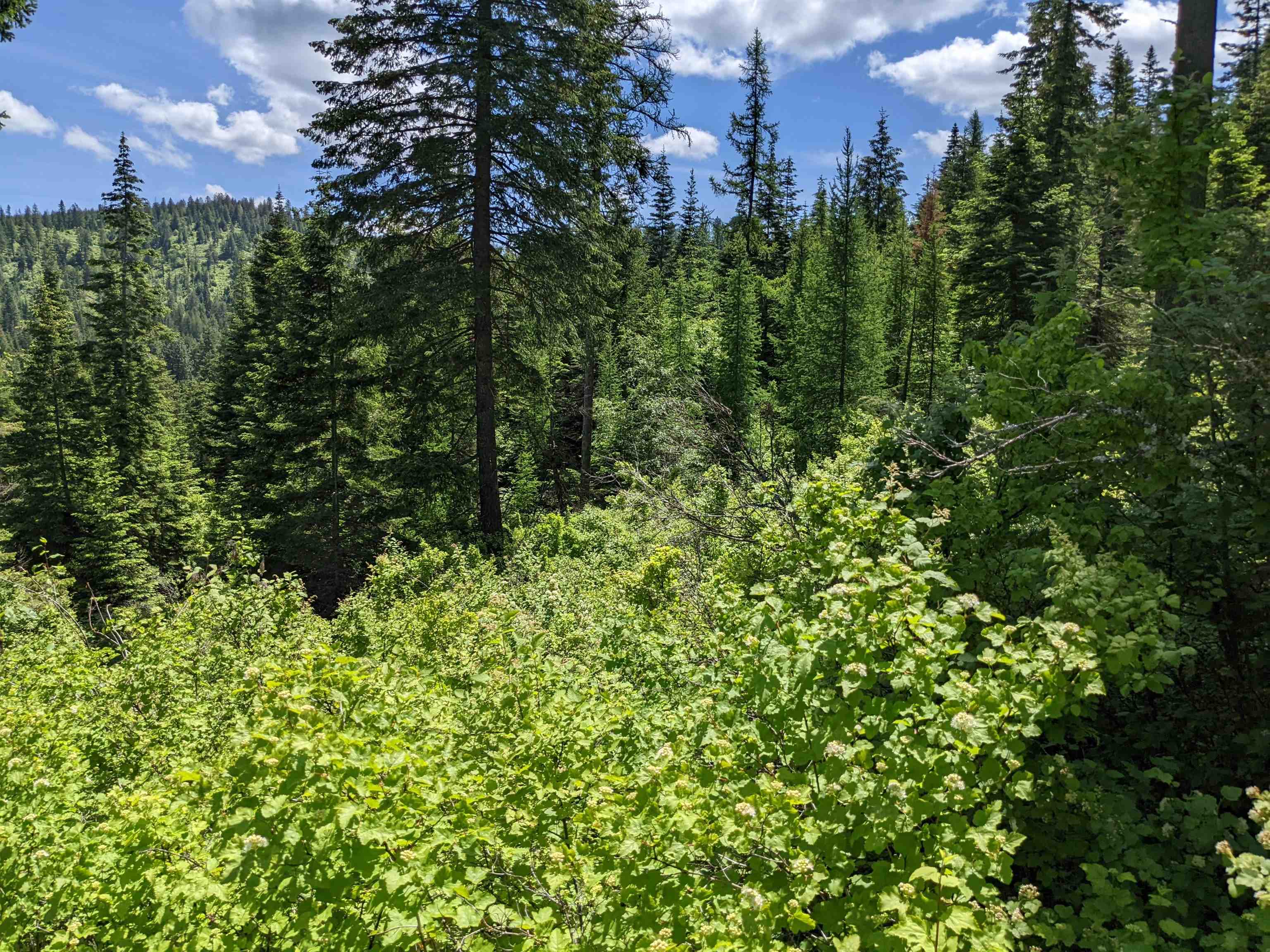 NNA E Bill Gulch Rd - Photo 16