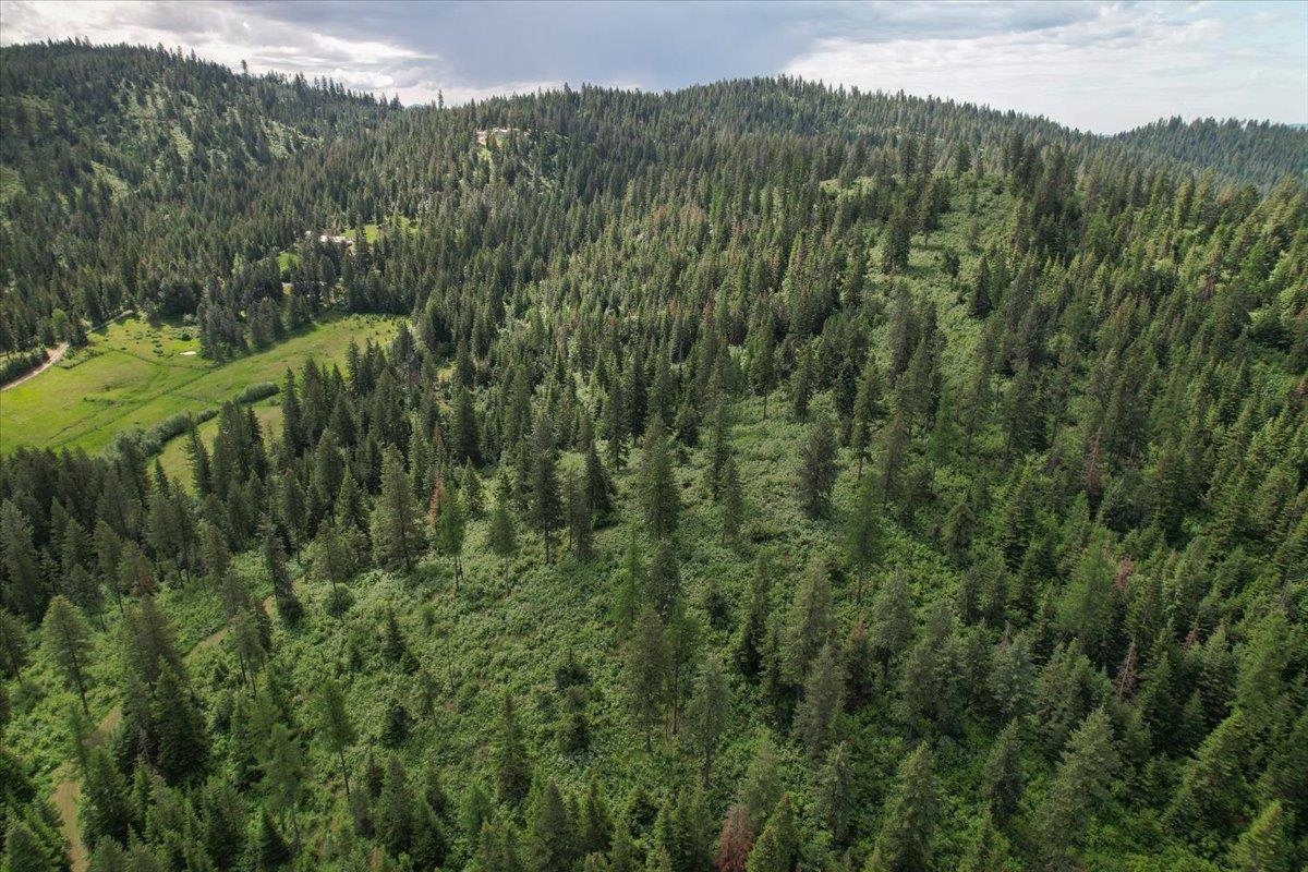 NNA E Bill Gulch Rd - Photo 4