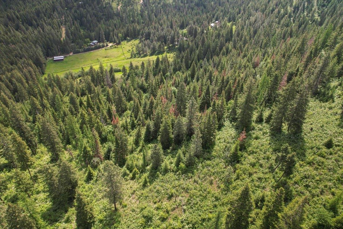 NNA E Bill Gulch Rd - Photo 6