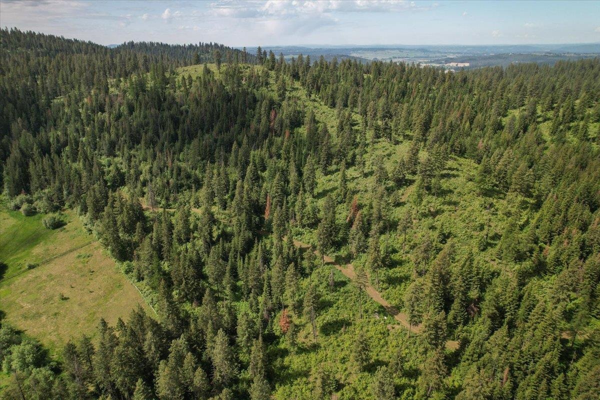 NNA E Bill Gulch Rd - Photo 8