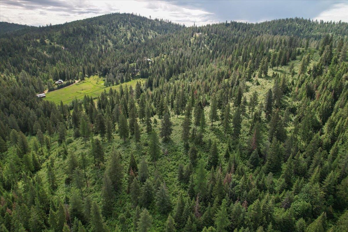 NNA E Bill Gulch Rd - Photo 9