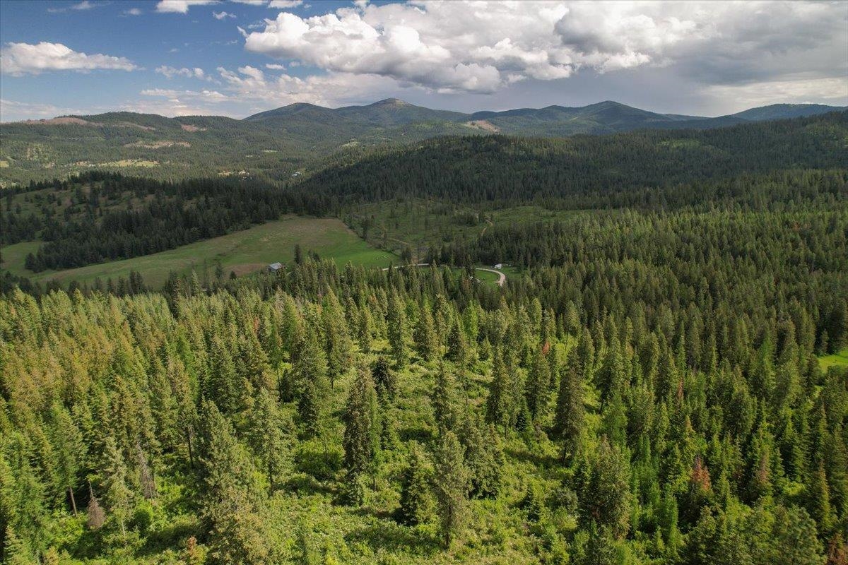 NNA E Bill Gulch Rd - Photo 10
