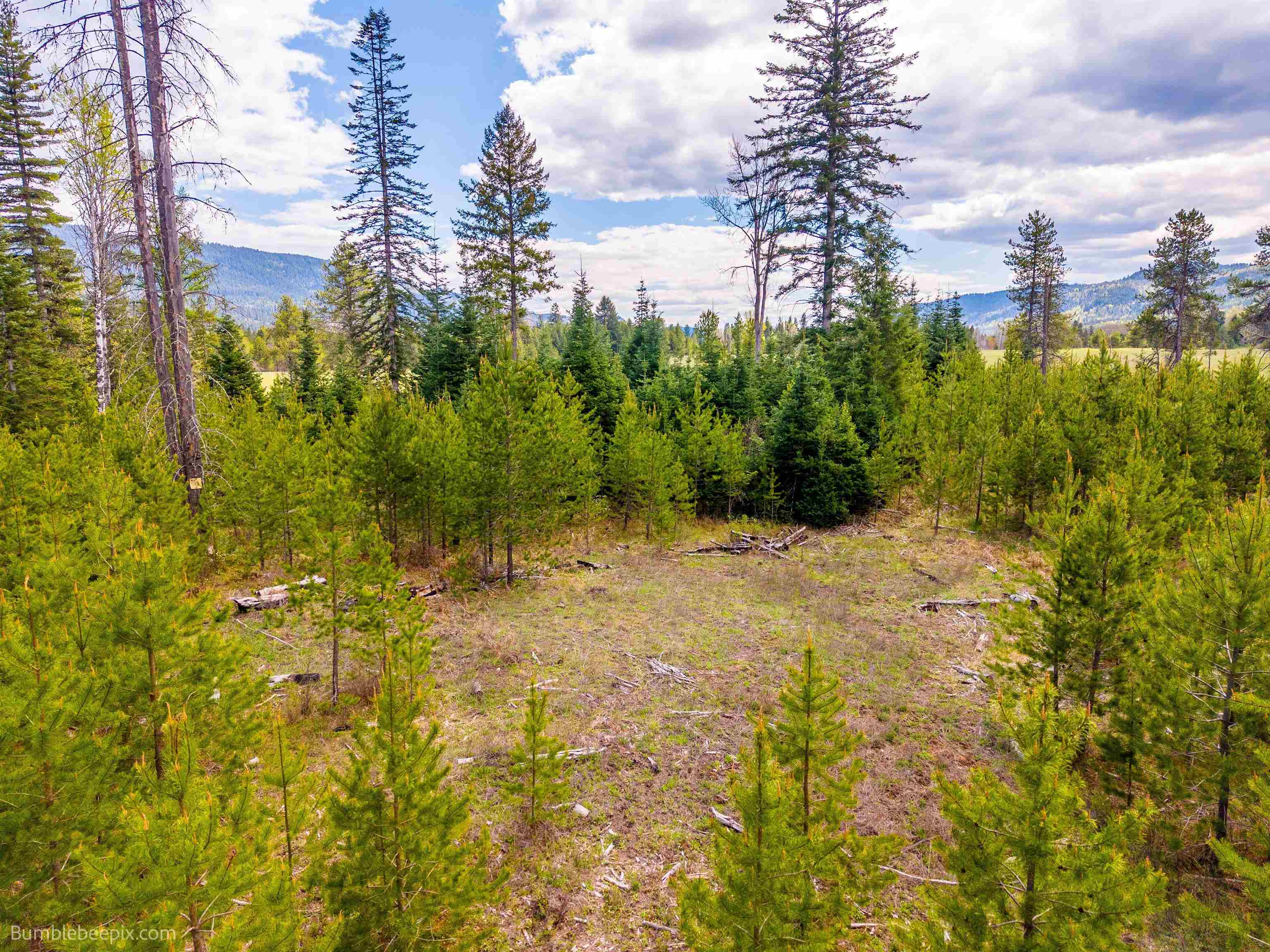 NKN Evergreen Rd - Photo 12