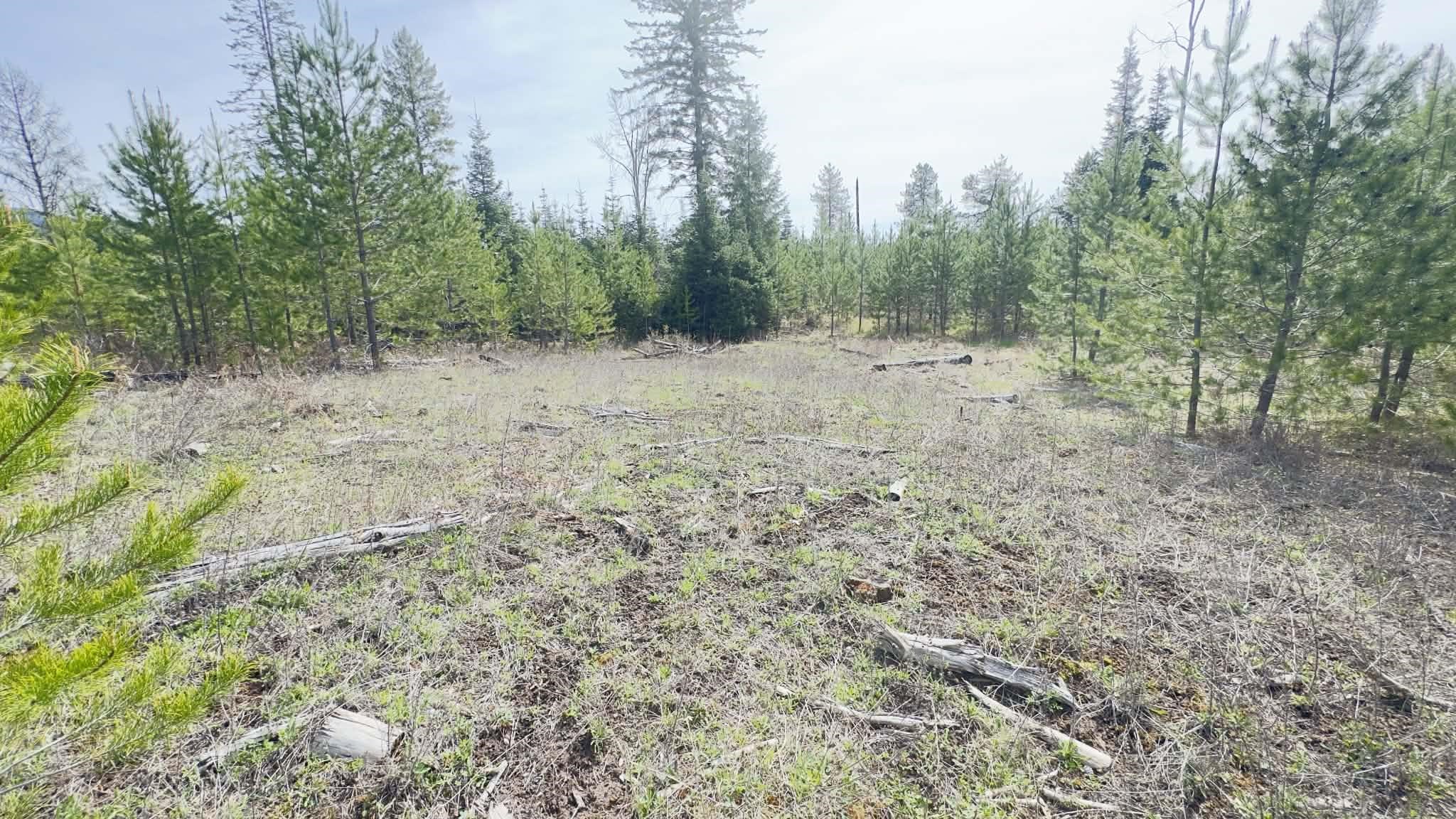 NKN Evergreen Rd - Photo 13