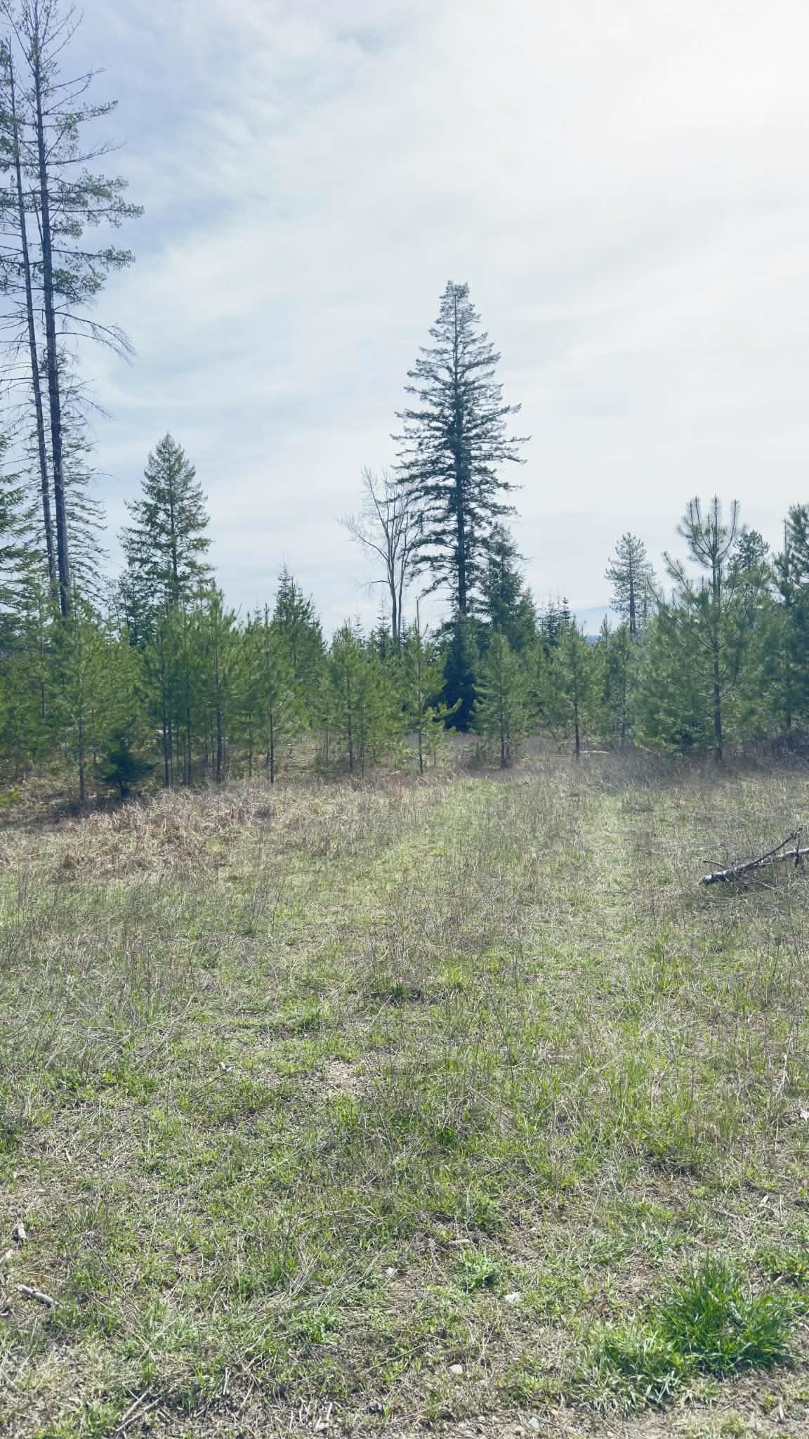 NKN Evergreen Rd - Photo 14