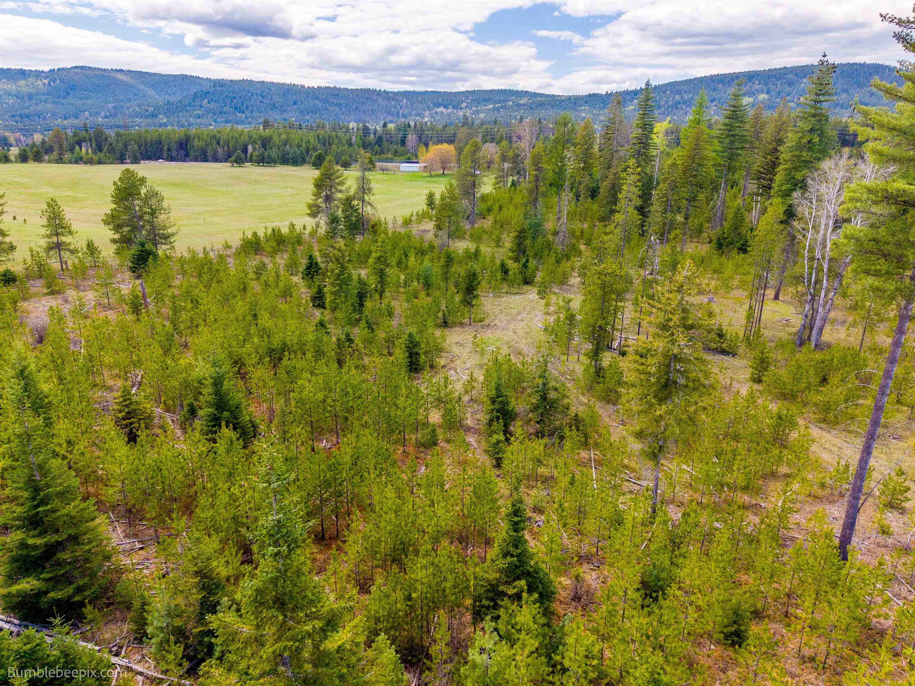 NKN Evergreen Rd - Photo 6