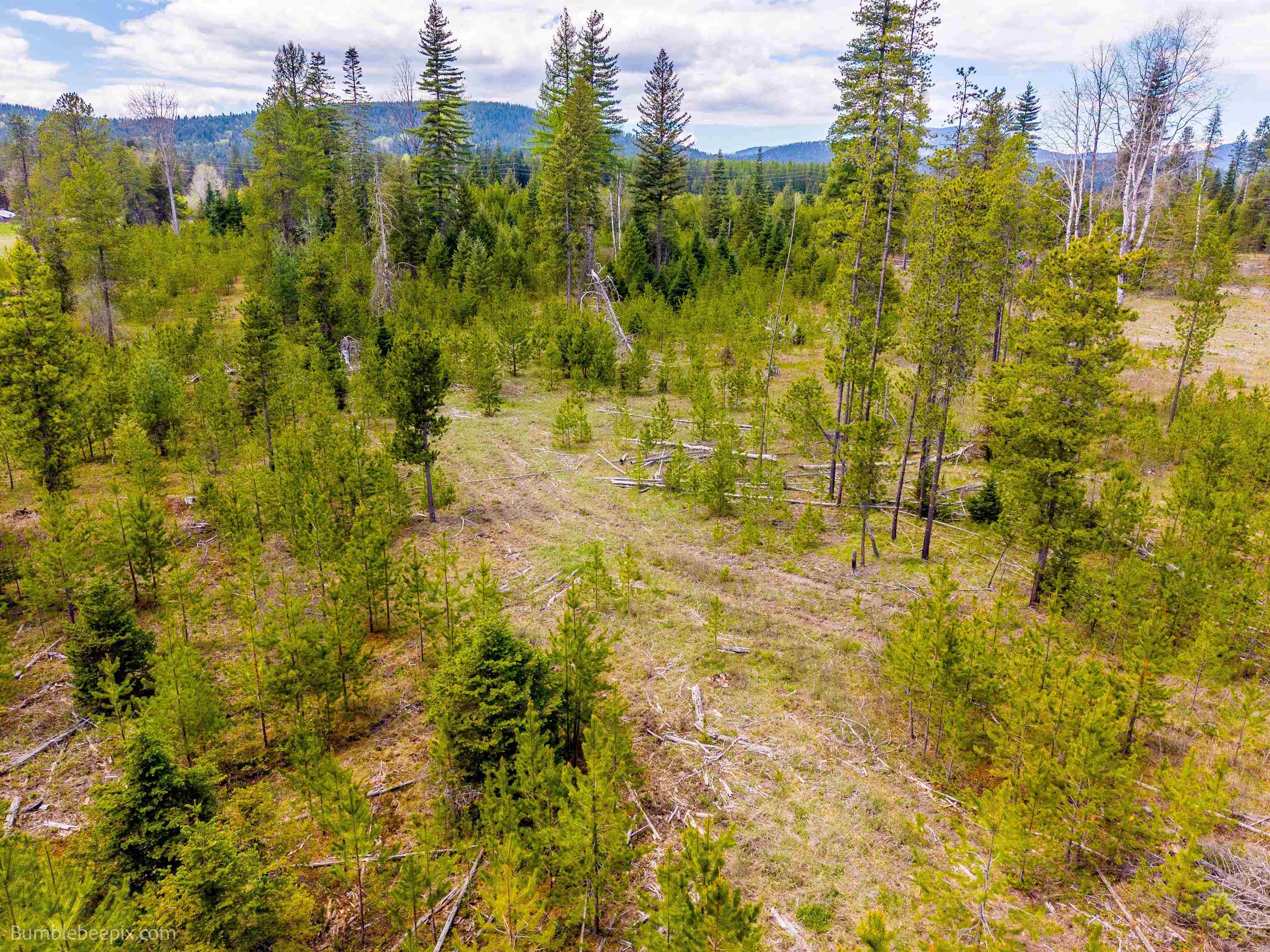 NKN Evergreen Rd - Photo 8