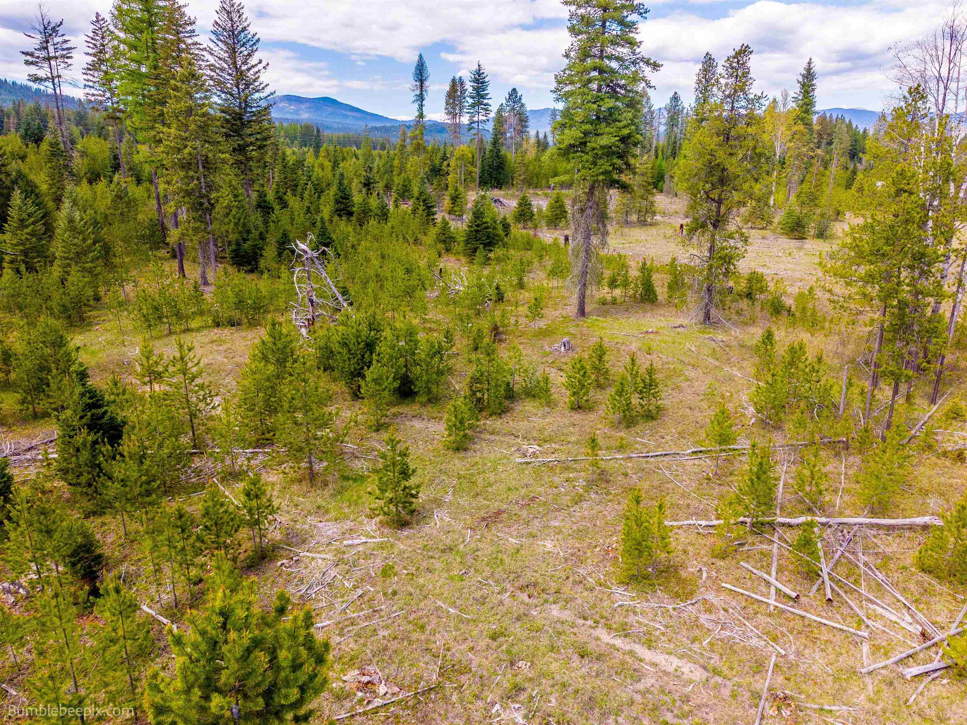 NKN Evergreen Rd - Photo 9