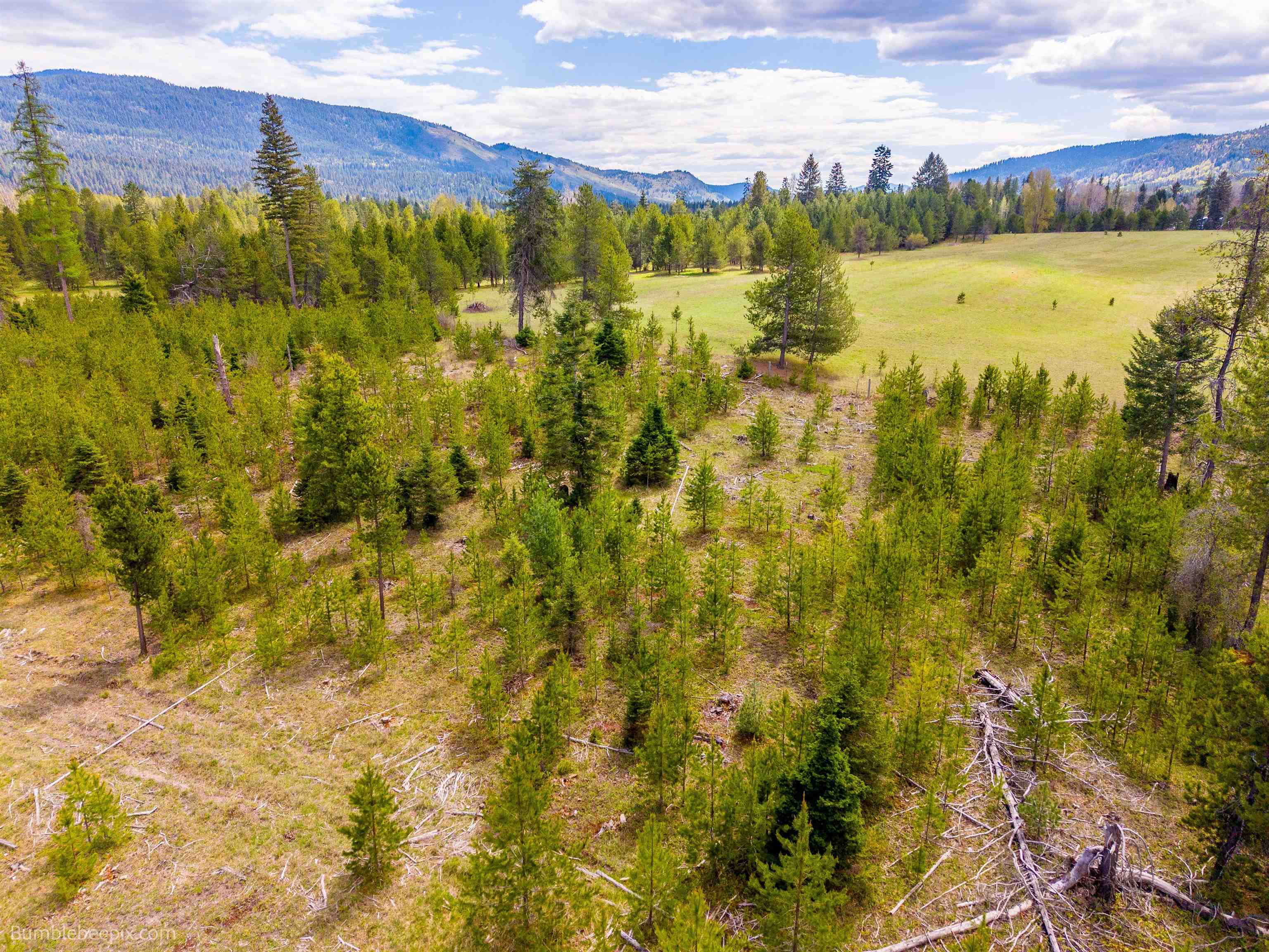 NKN Evergreen Rd - Photo 10