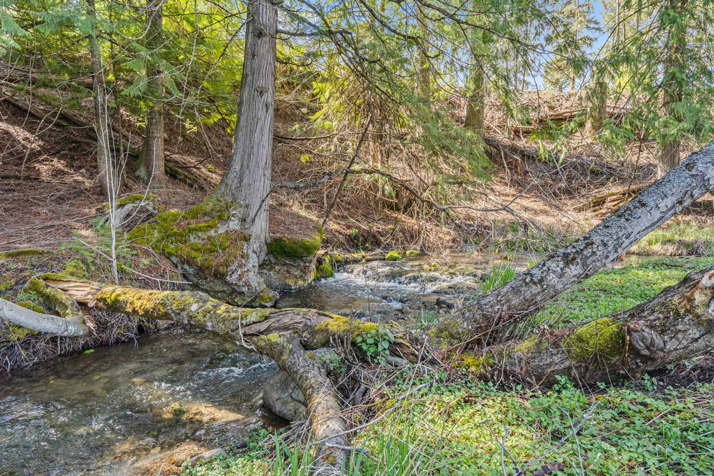 2291 Marble Valley Basin Rd - Photo 40