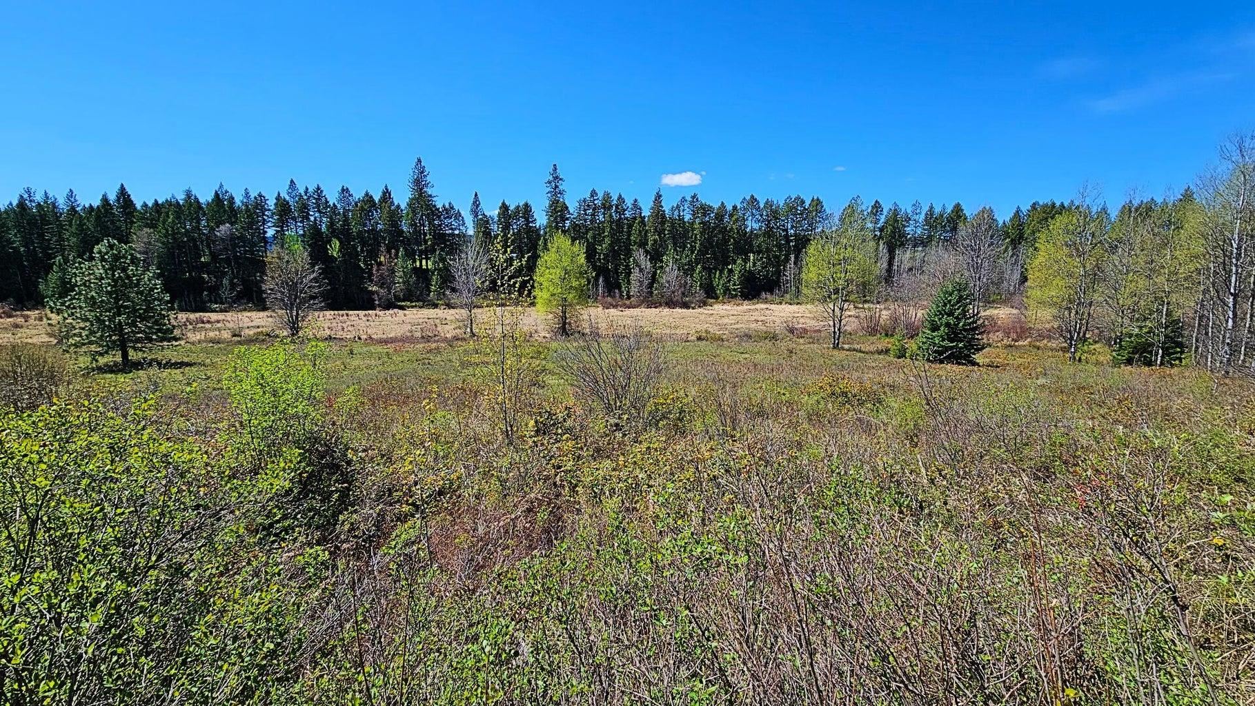 1267 Echo Peak Way - Photo 40
