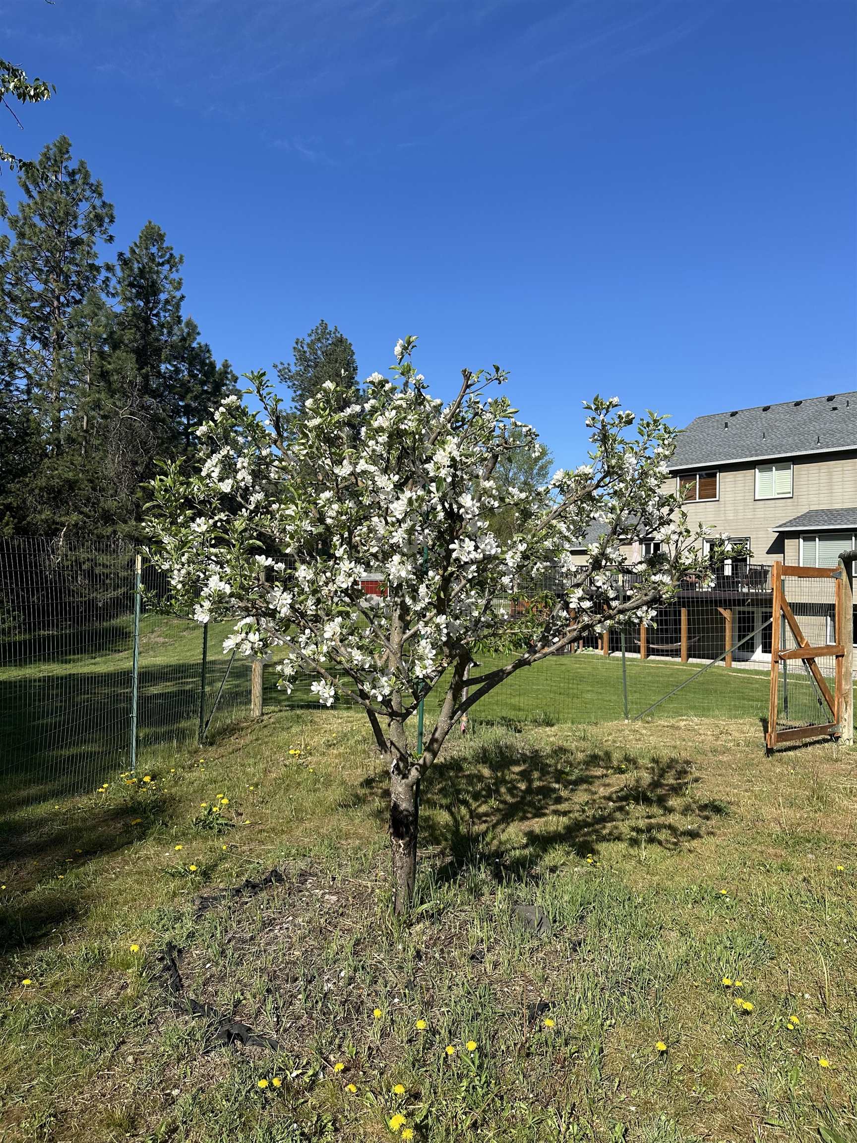 8320 N Haye Ln - Photo 44