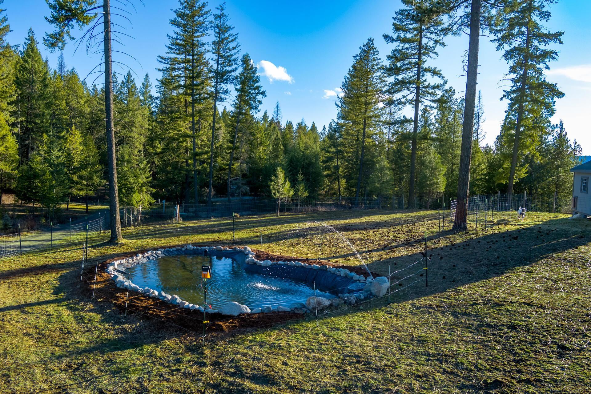 2559 United Copper Mine Rd - Photo 25
