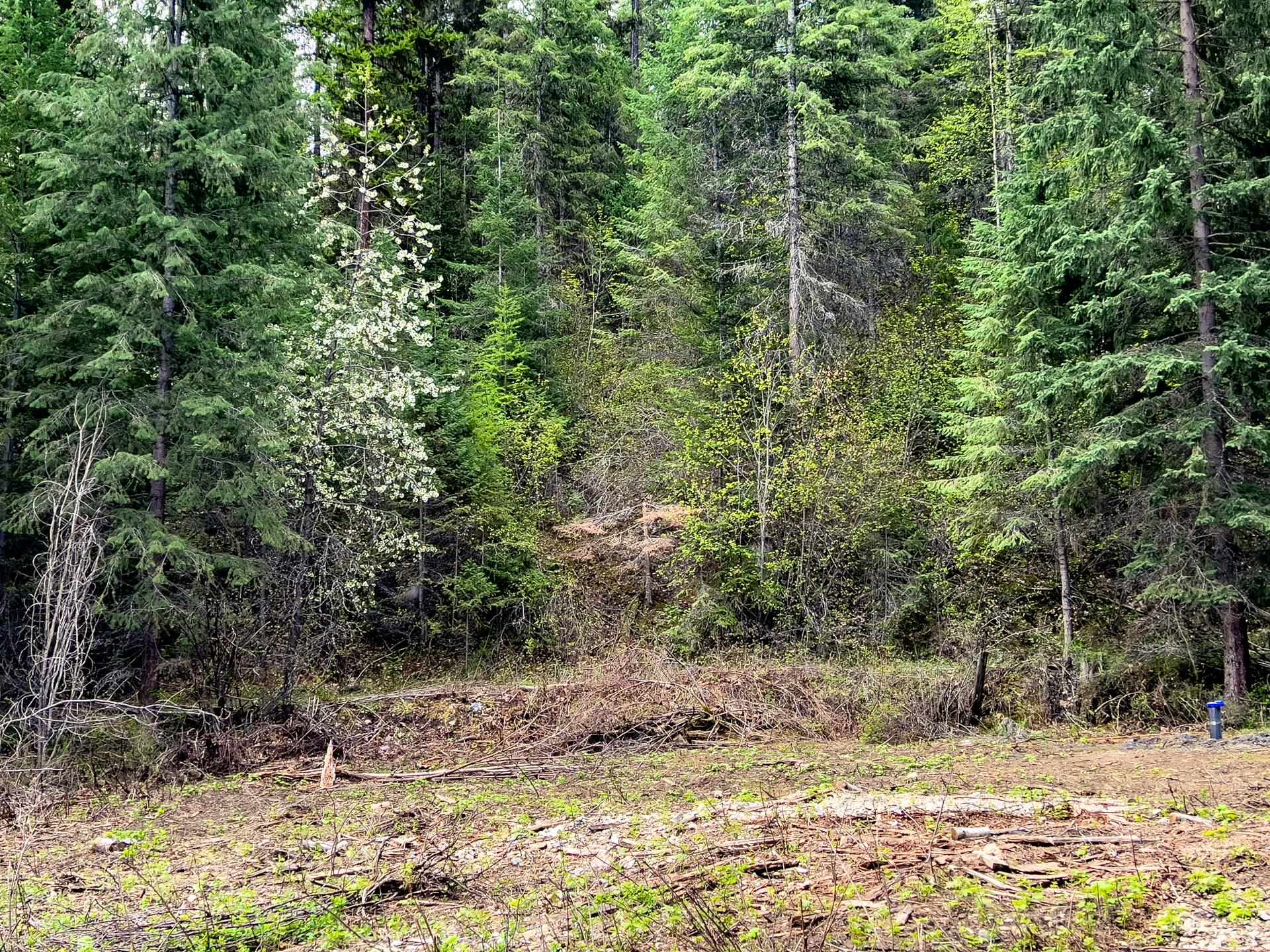 3308 Deep Lake Boundary Rd - Photo 10