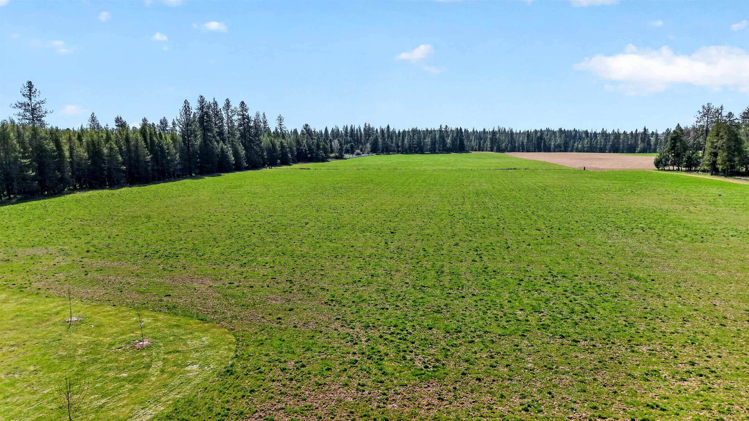 1100 E Denison Chattaroy Rd - Photo 43