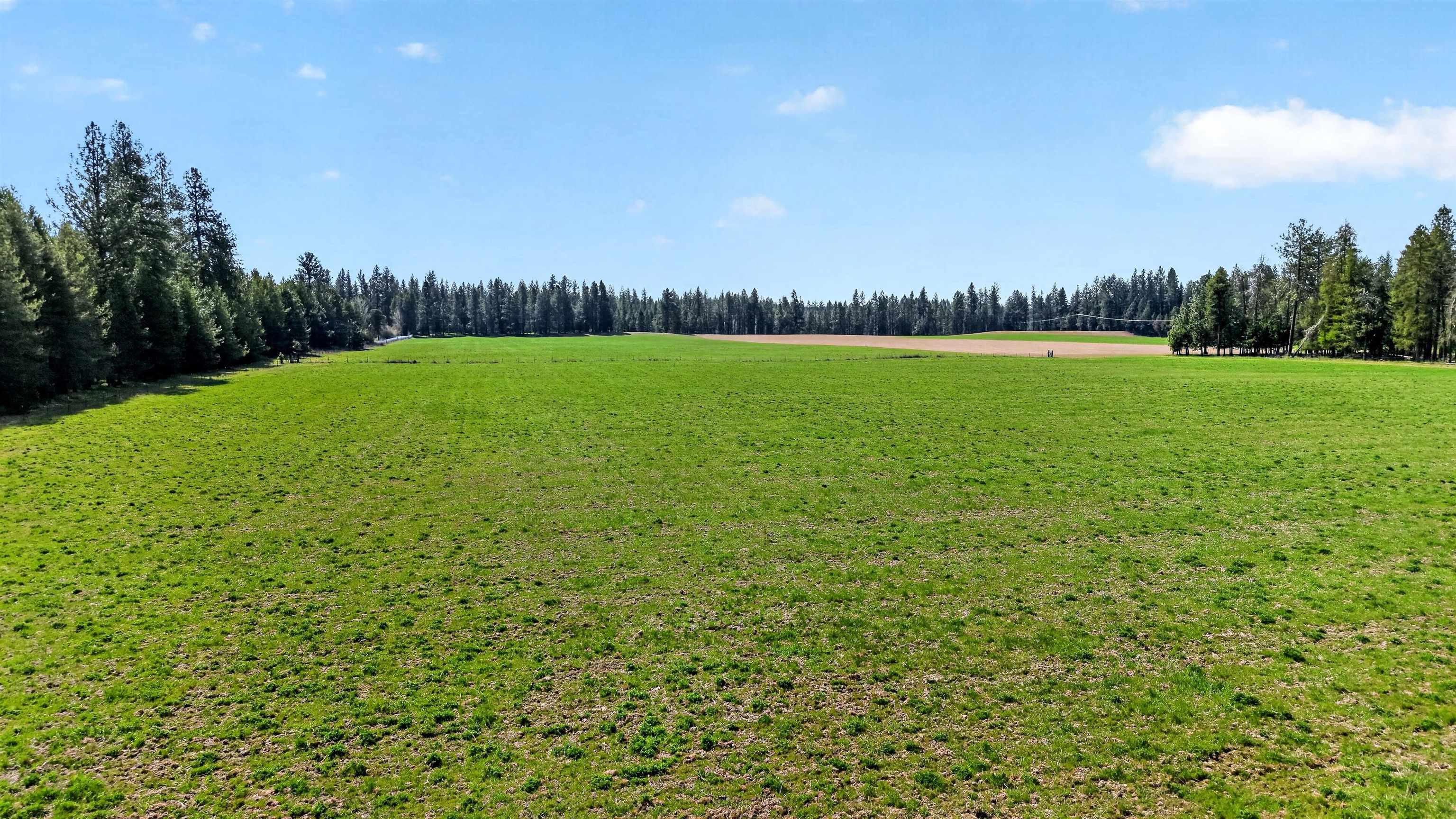 1100 E Denison Chattaroy Rd - Photo 44