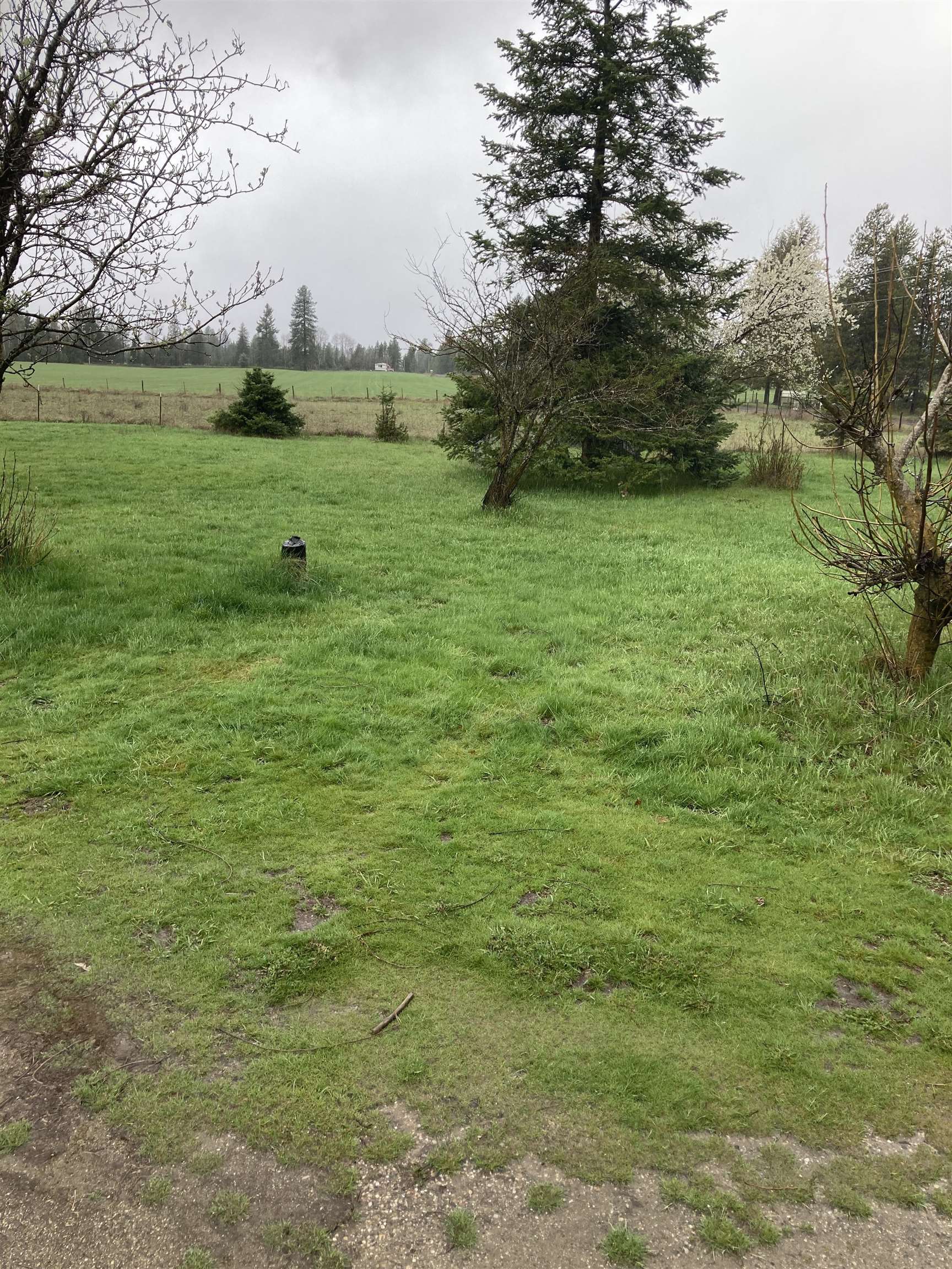 11918 E Bridges Rd - Photo 6