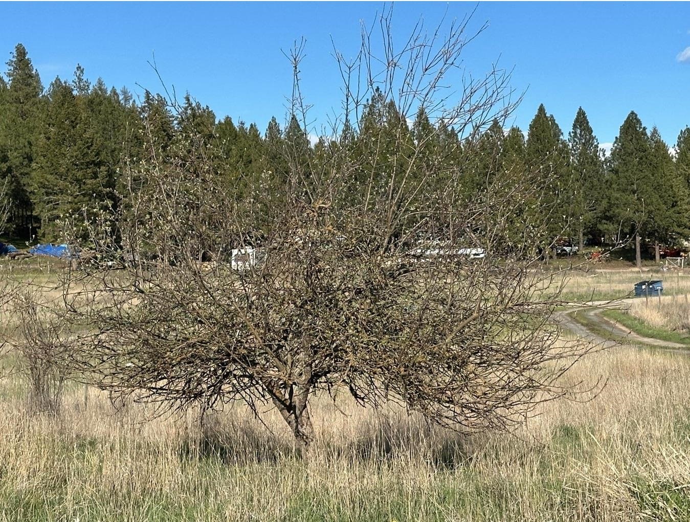 2288 B Cedonia-Addy Rd - Photo 13