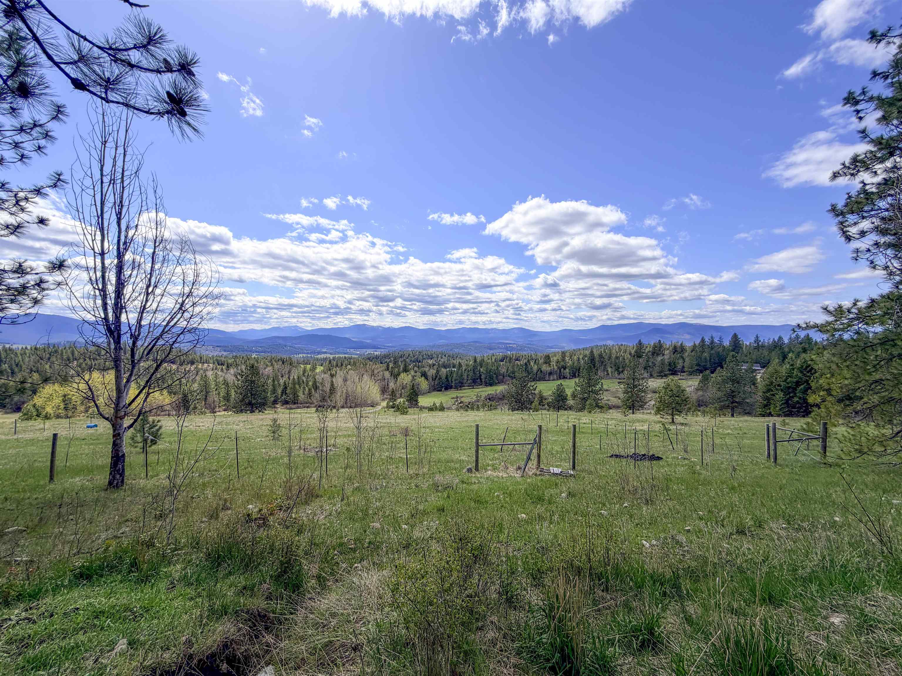 829 Dominion Springs Way - Photo 1