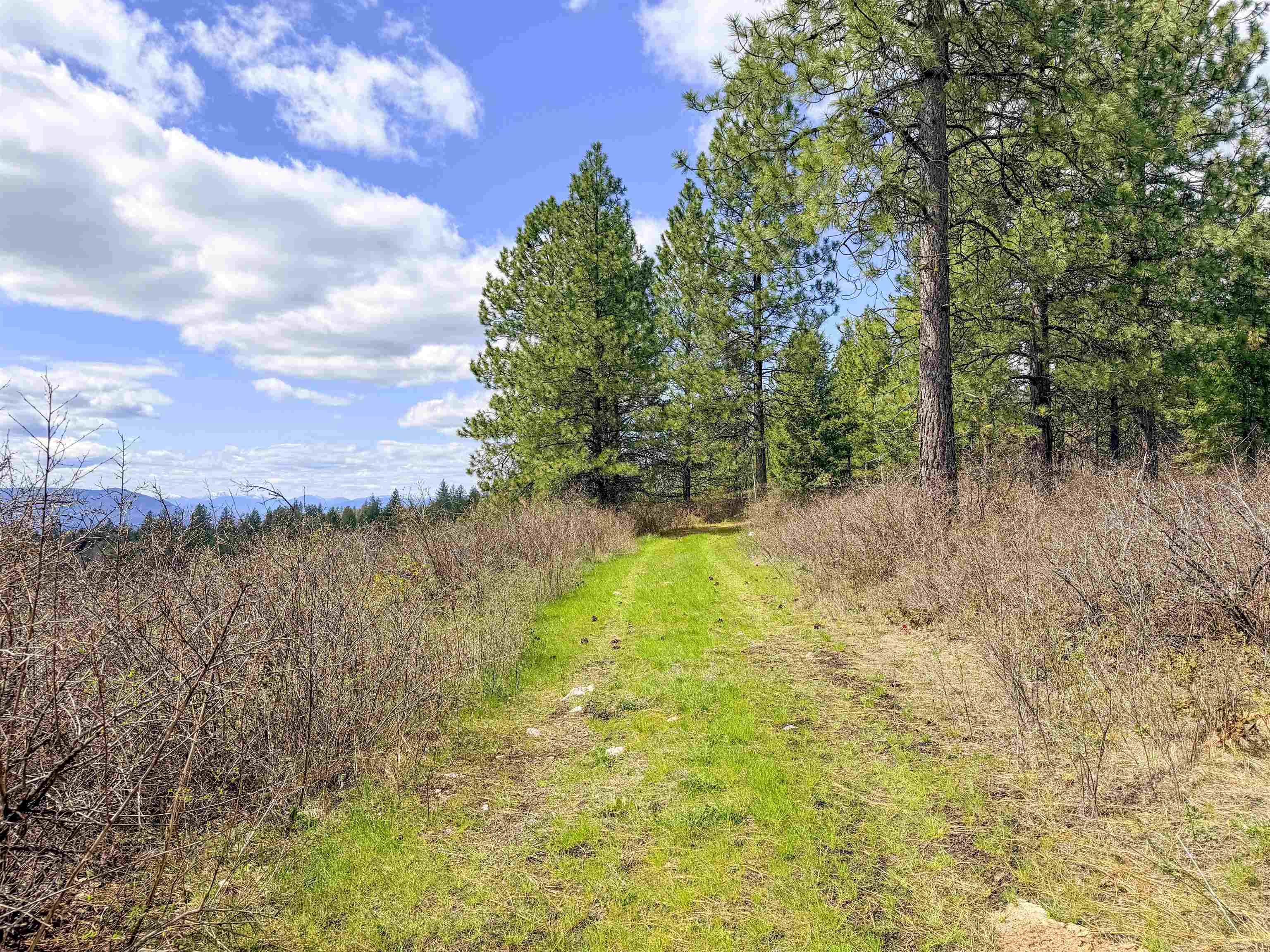 829 Dominion Springs Way - Photo 18