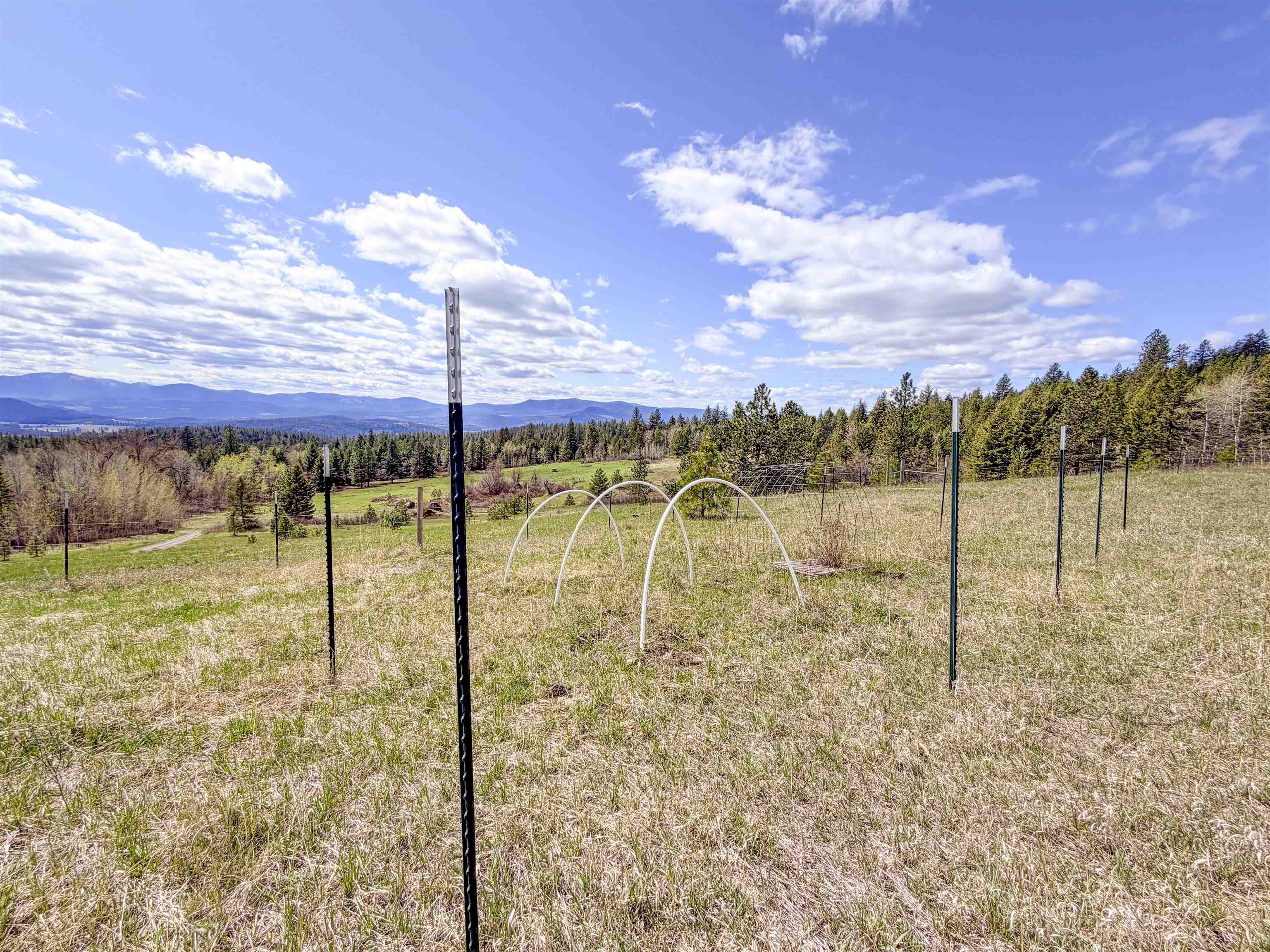 829 Dominion Springs Way - Photo 20