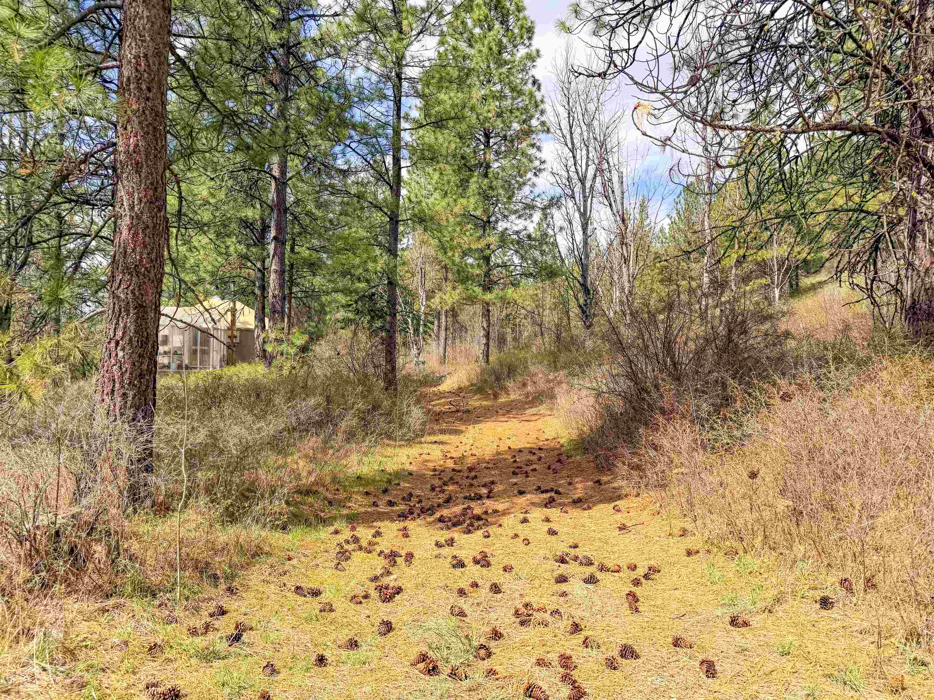 829 Dominion Springs Way - Photo 22