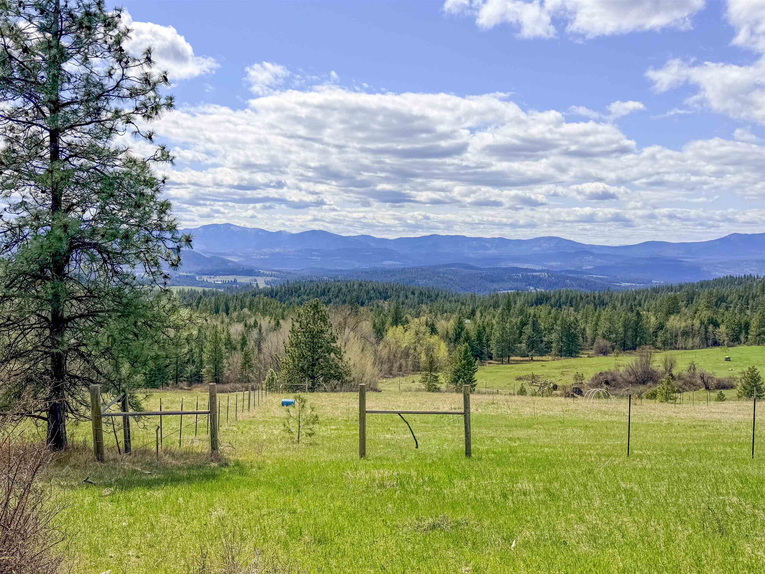 829 Dominion Springs Way - Photo 25